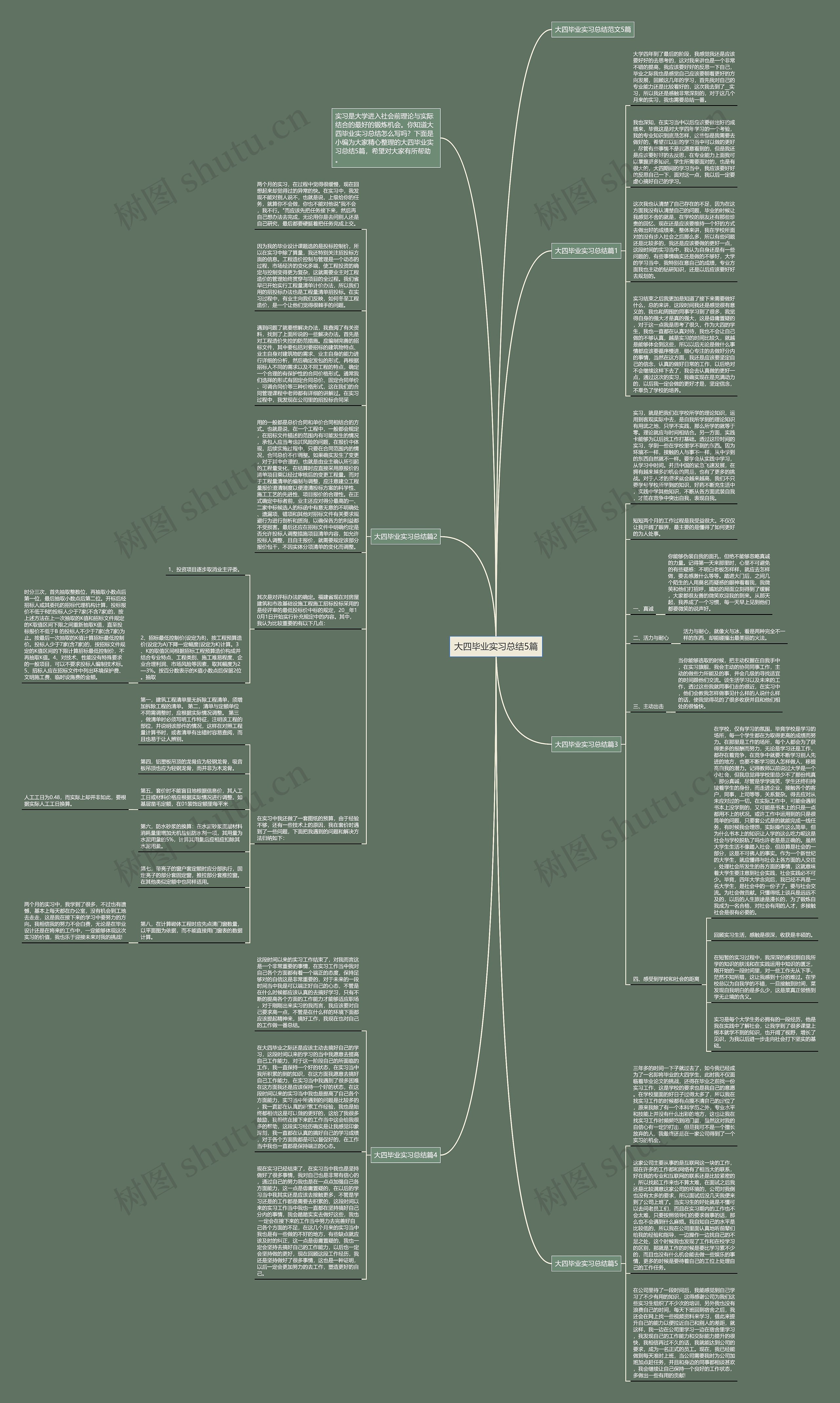 大四毕业实习总结5篇思维导图