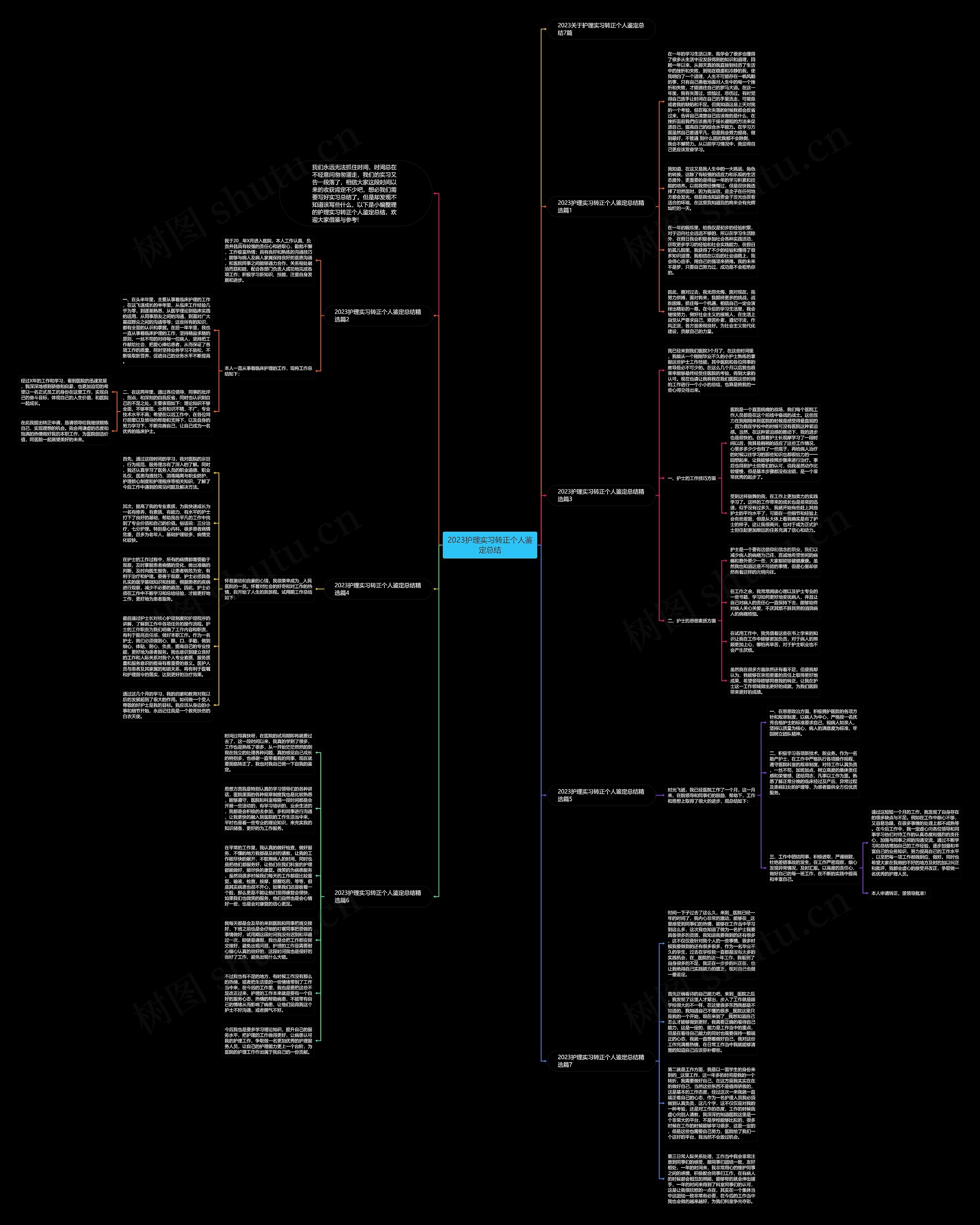 2023护理实习转正个人鉴定总结思维导图