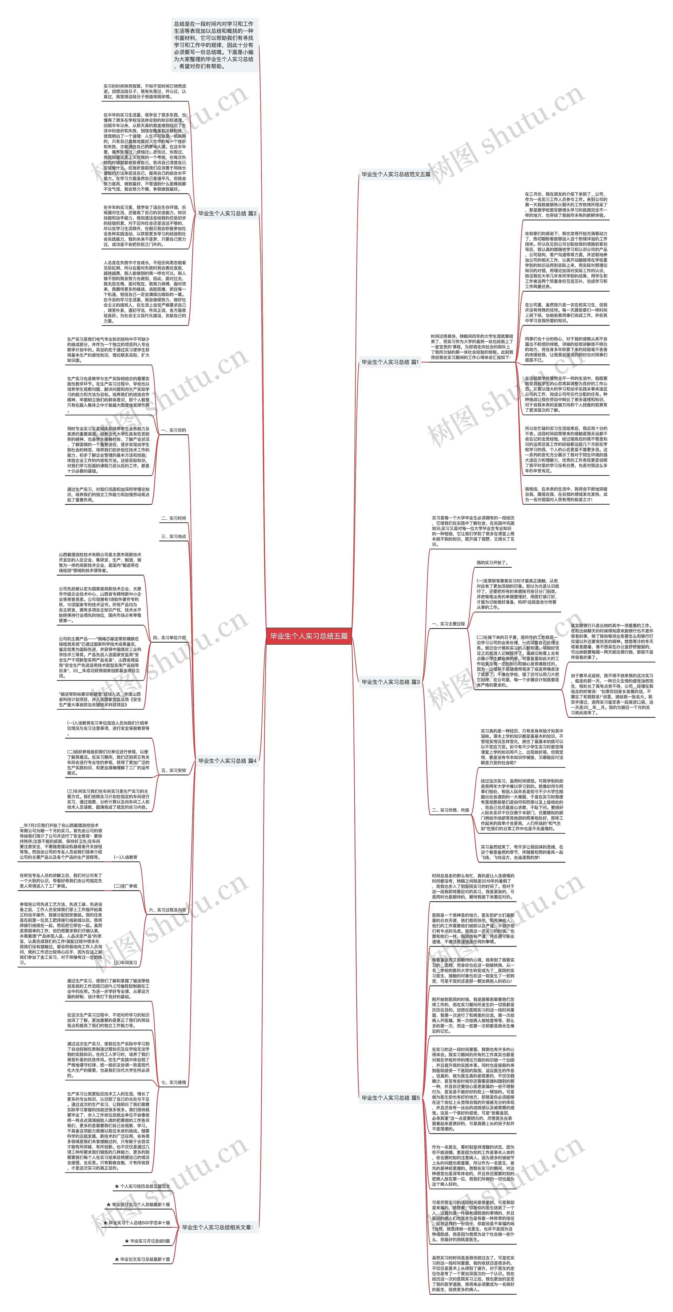 毕业生个人实习总结五篇思维导图
