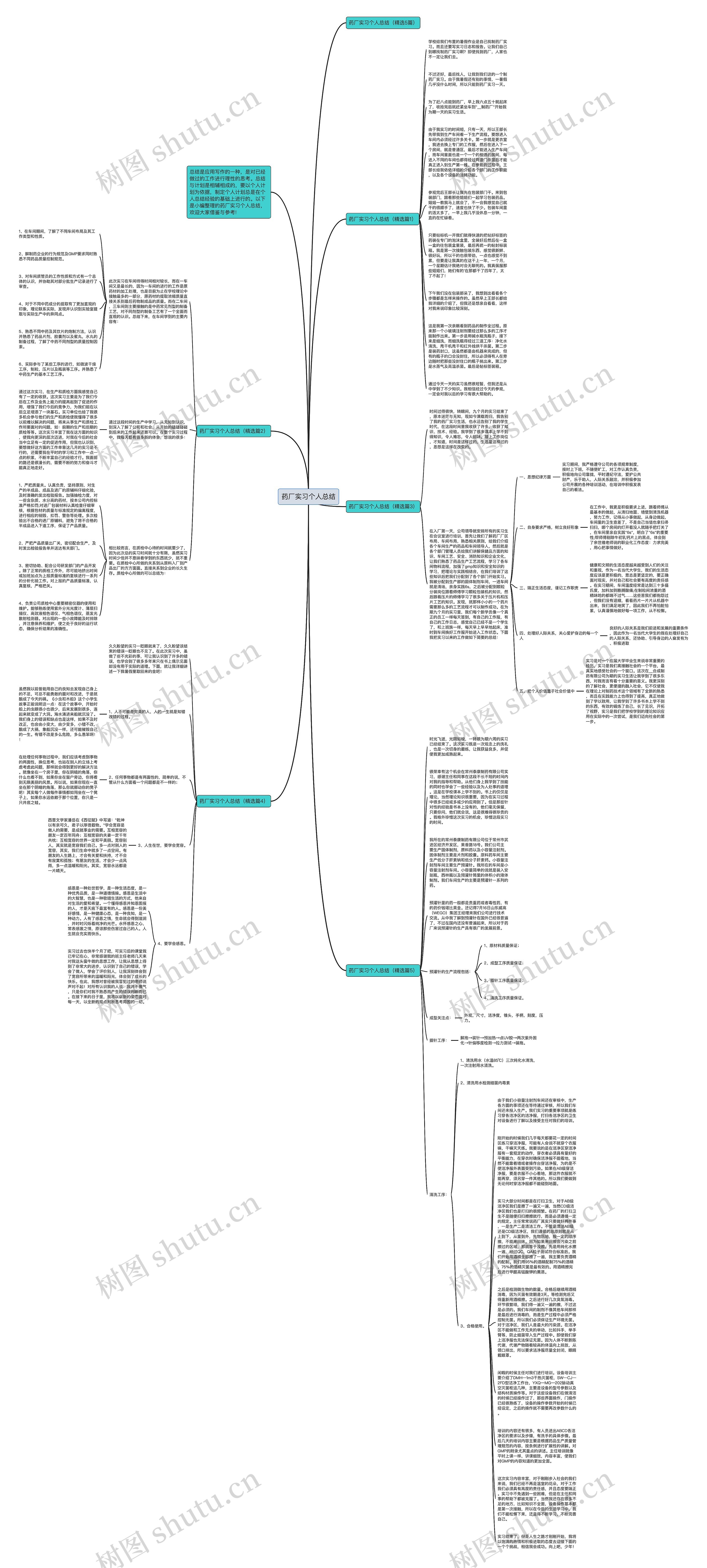 药厂实习个人总结思维导图