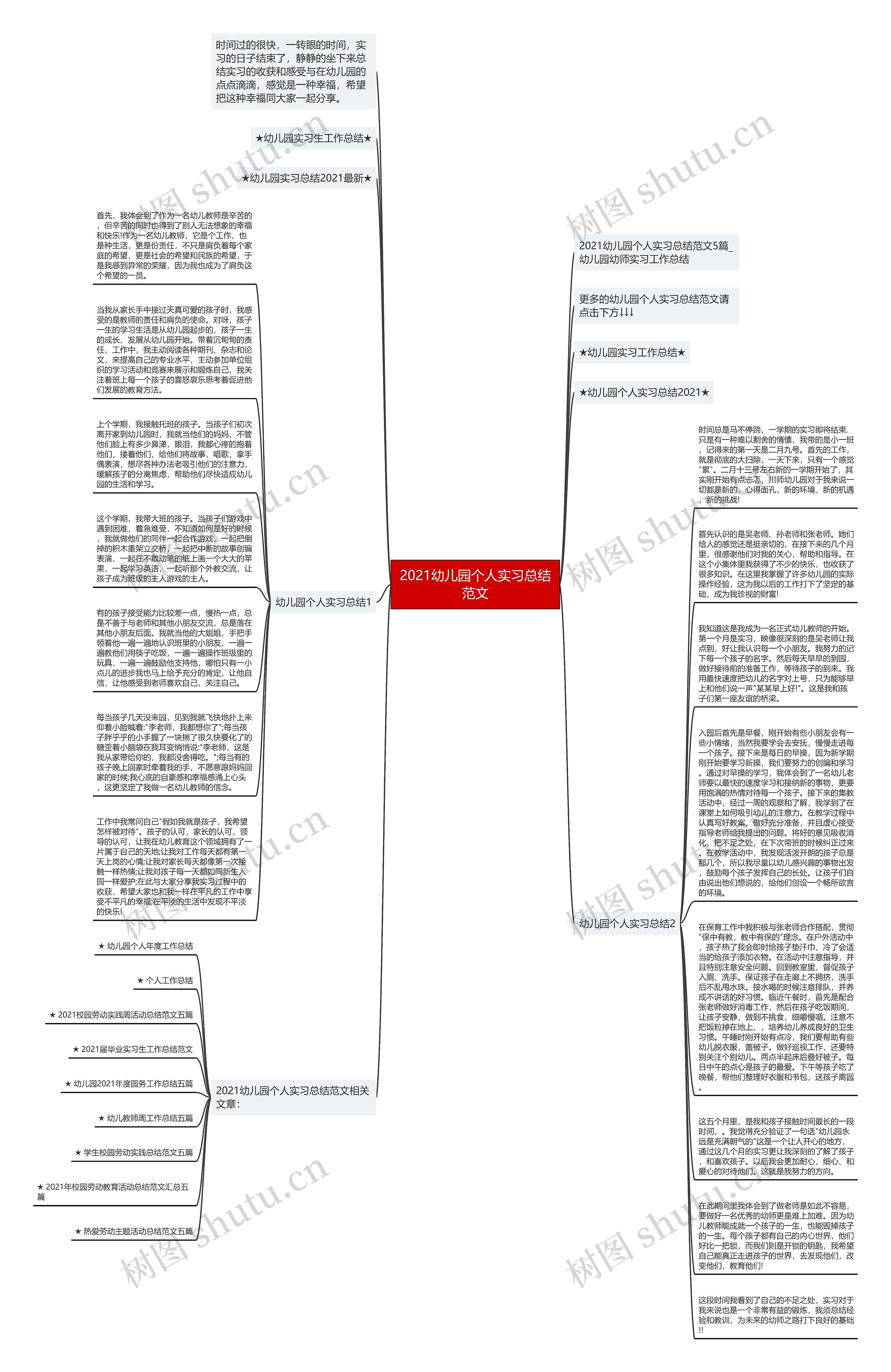 2021幼儿园个人实习总结范文思维导图