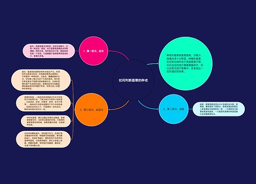 如何判断翡翠的种老