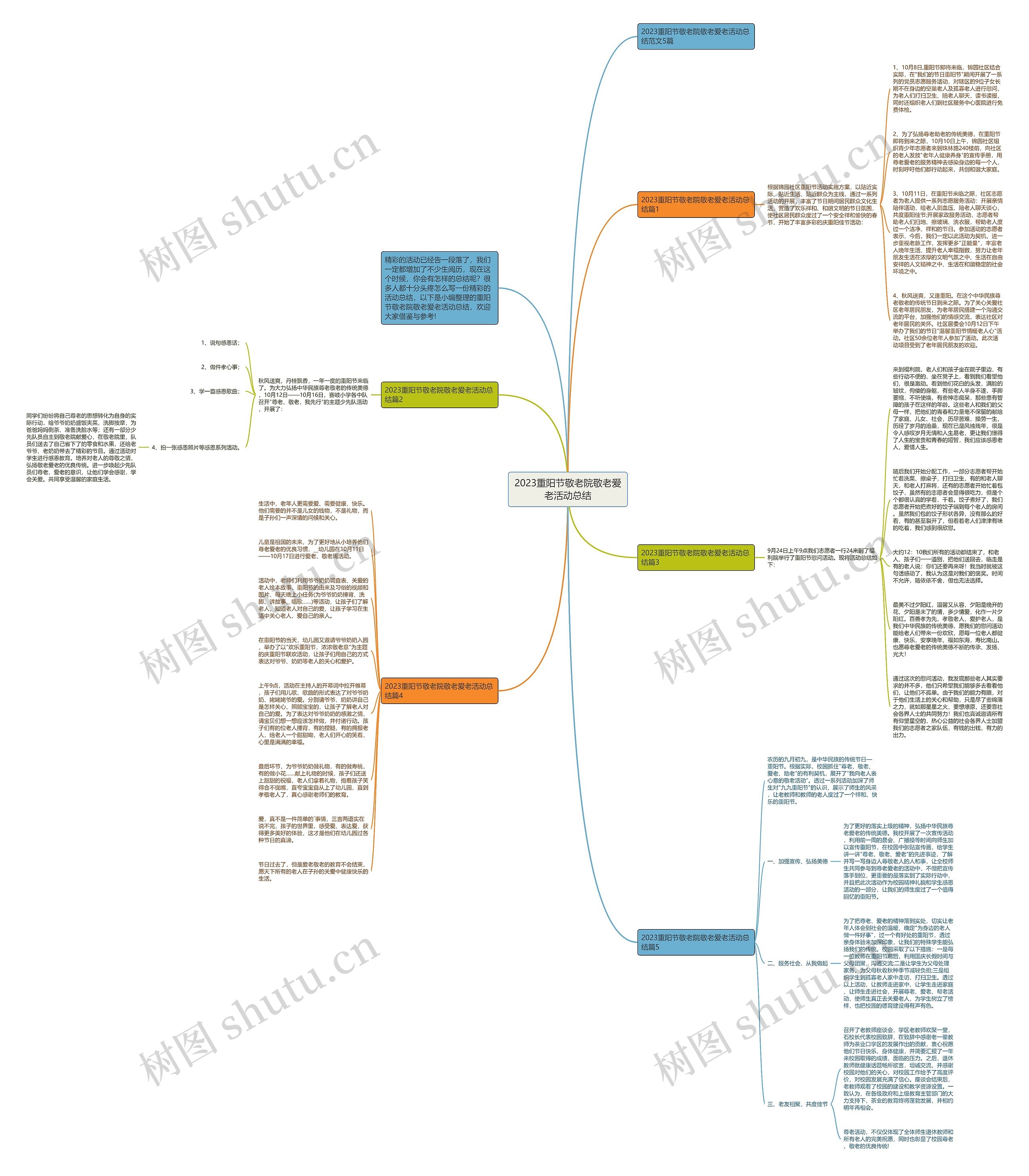 2023重阳节敬老院敬老爱老活动总结思维导图