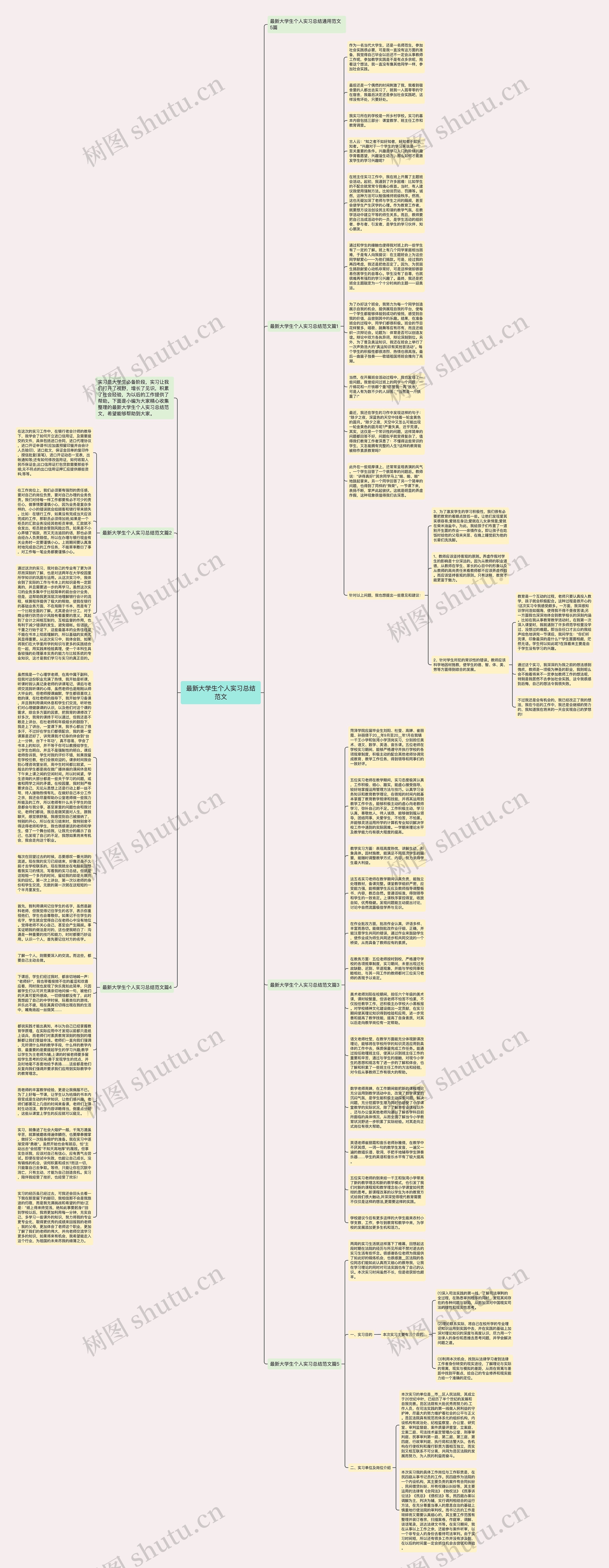 最新大学生个人实习总结范文思维导图
