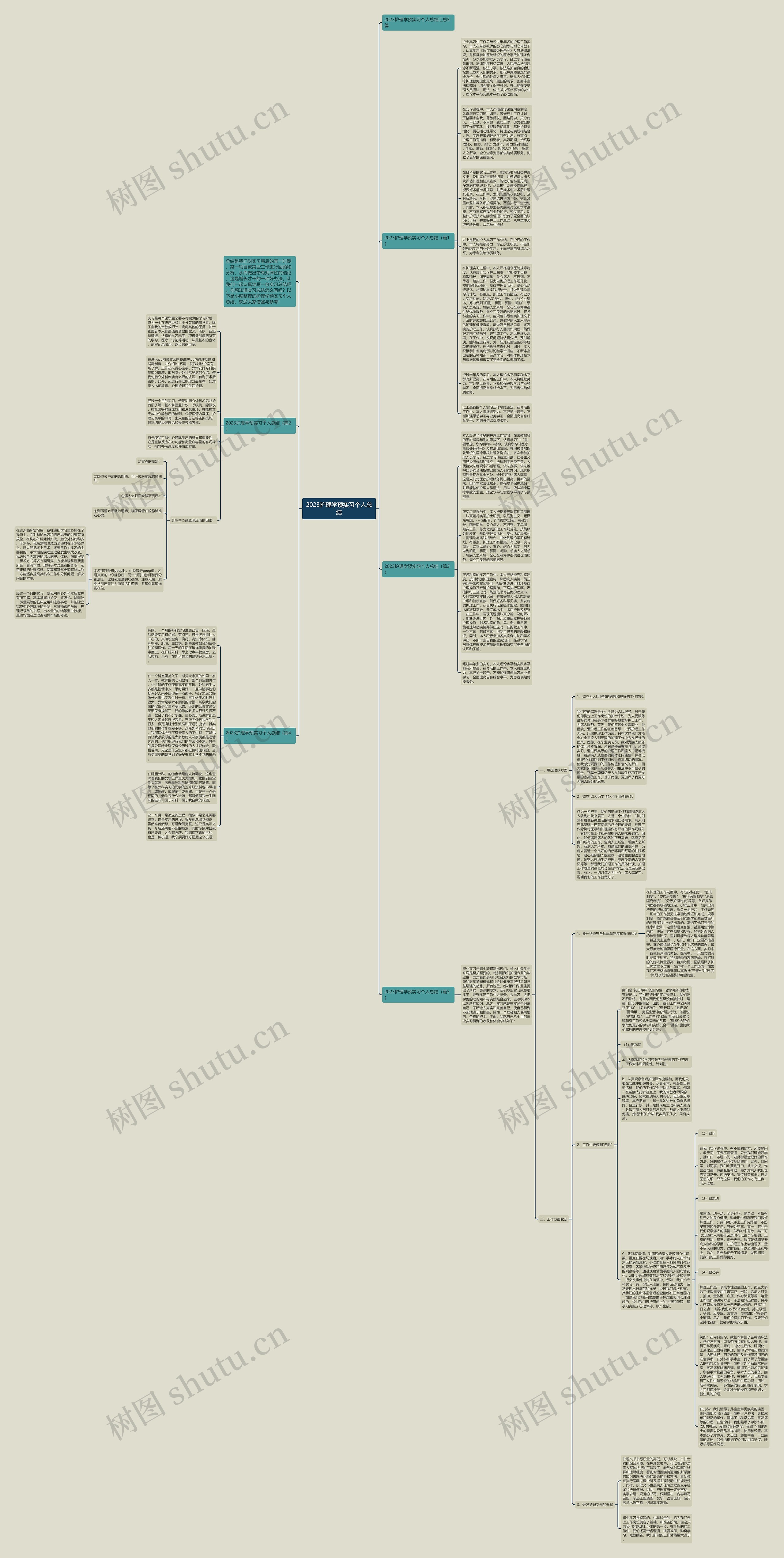 2023护理学预实习个人总结思维导图
