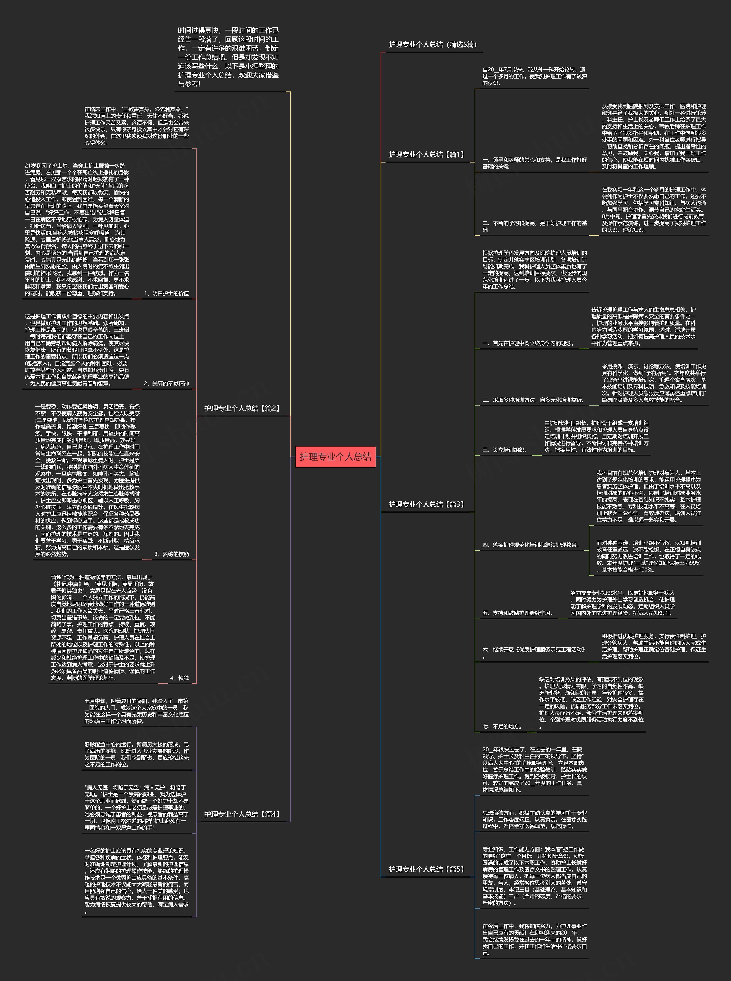护理专业个人总结思维导图