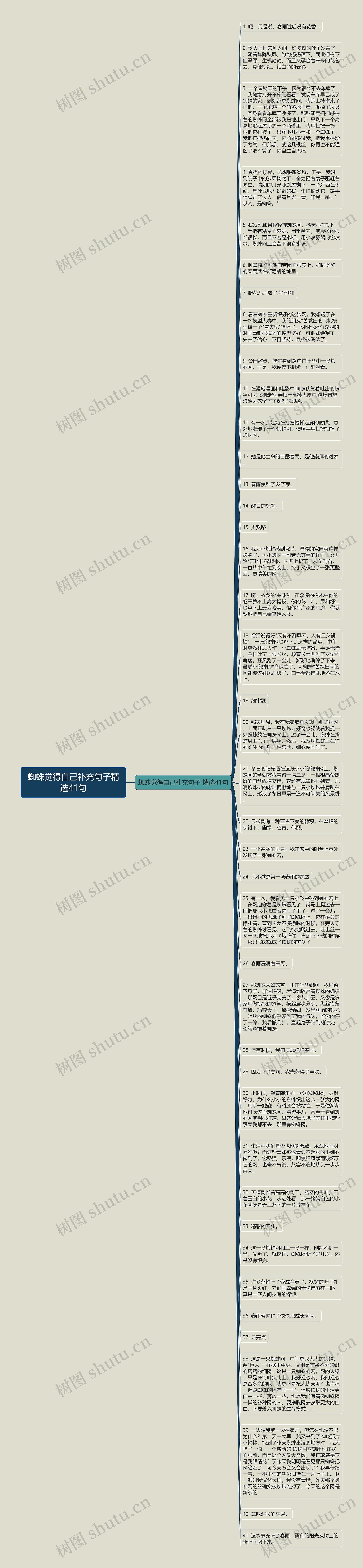 蜘蛛觉得自己补充句子精选41句思维导图