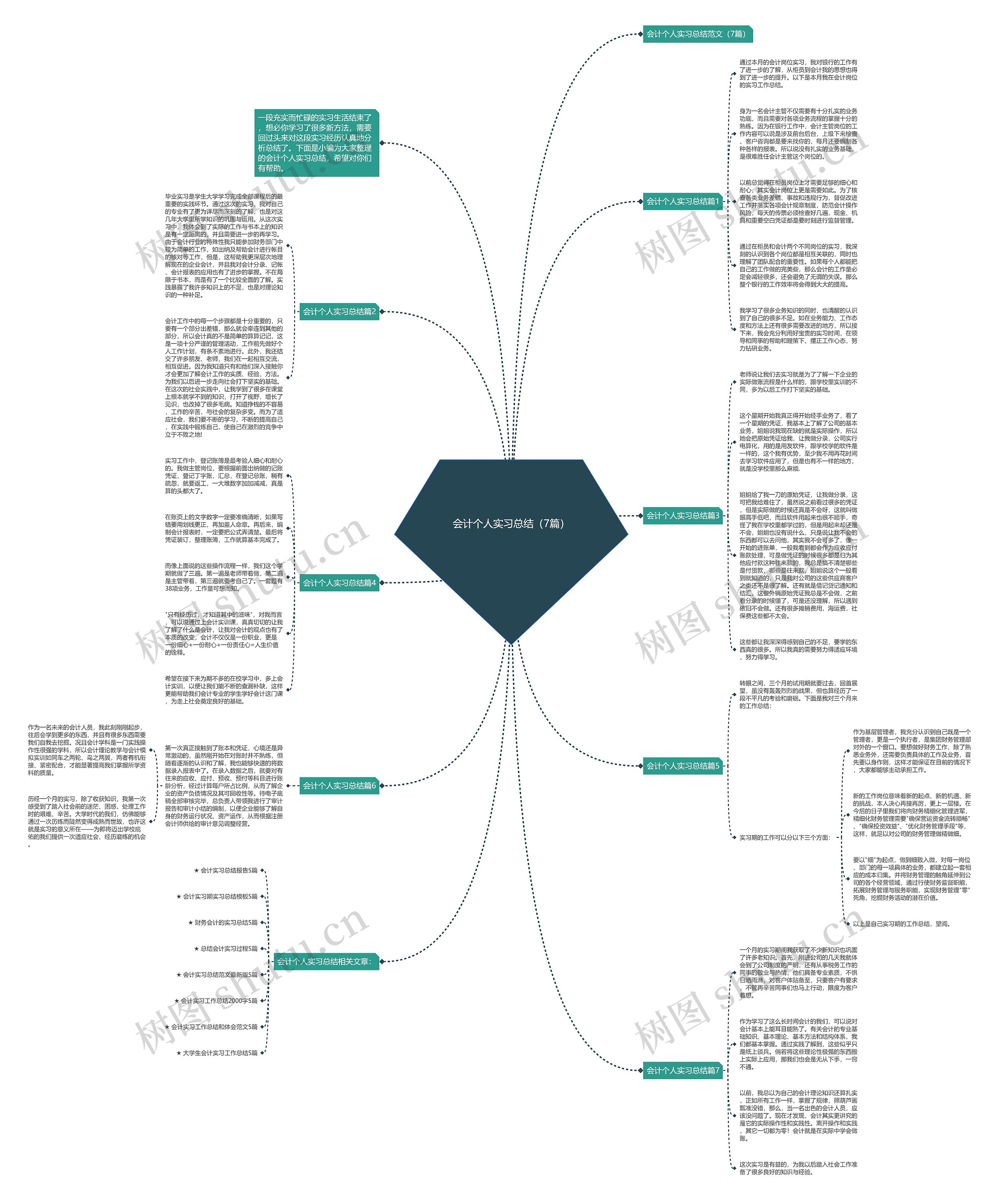 会计个人实习总结（7篇）思维导图