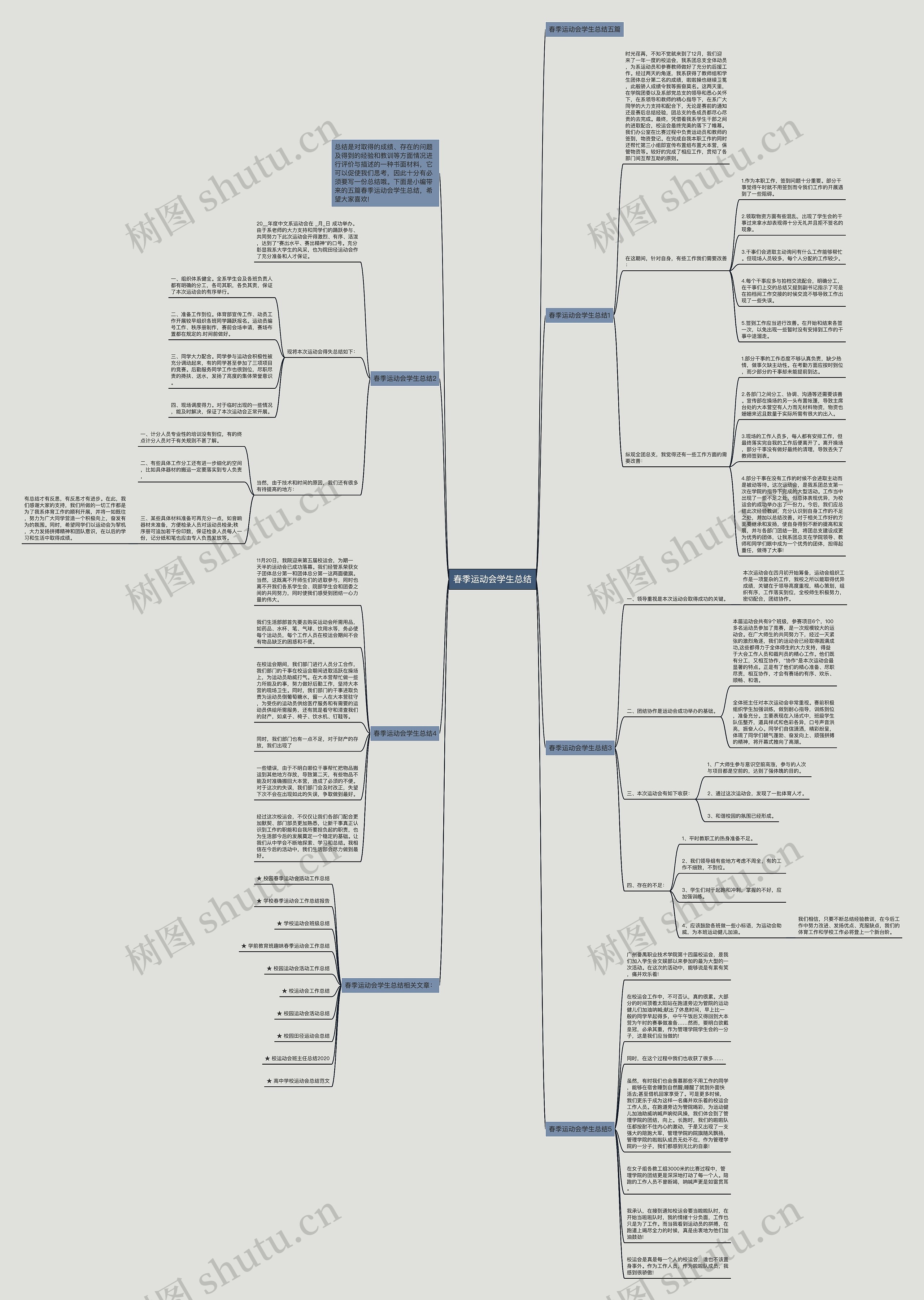 春季运动会学生总结思维导图