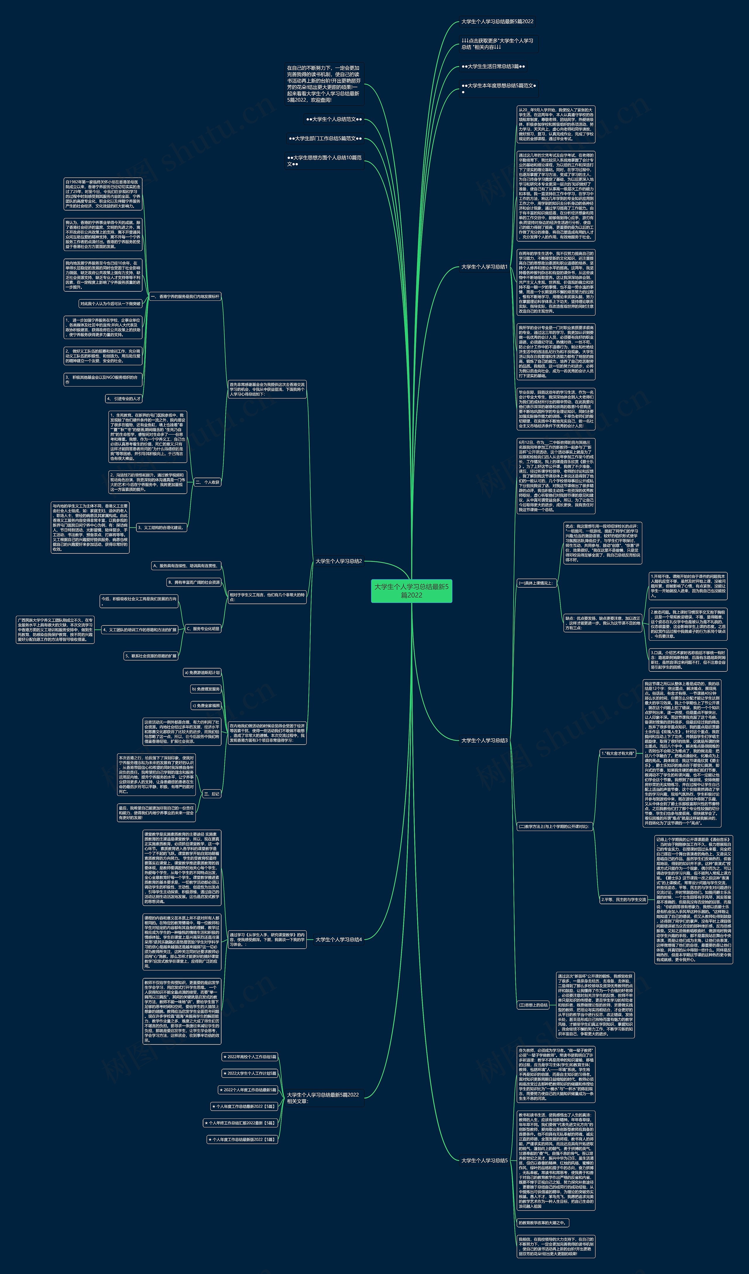 大学生个人学习总结最新5篇2022思维导图