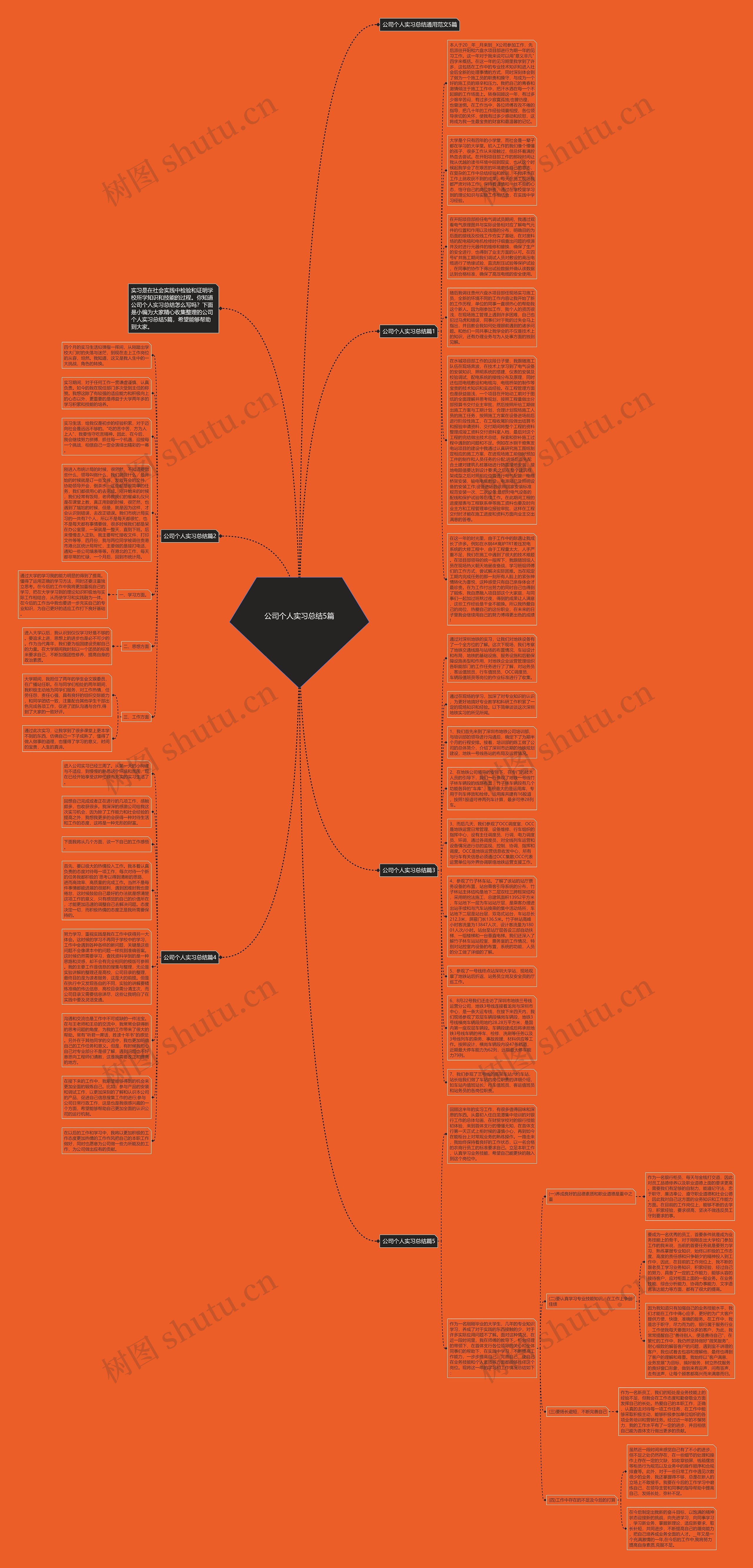 公司个人实习总结5篇思维导图