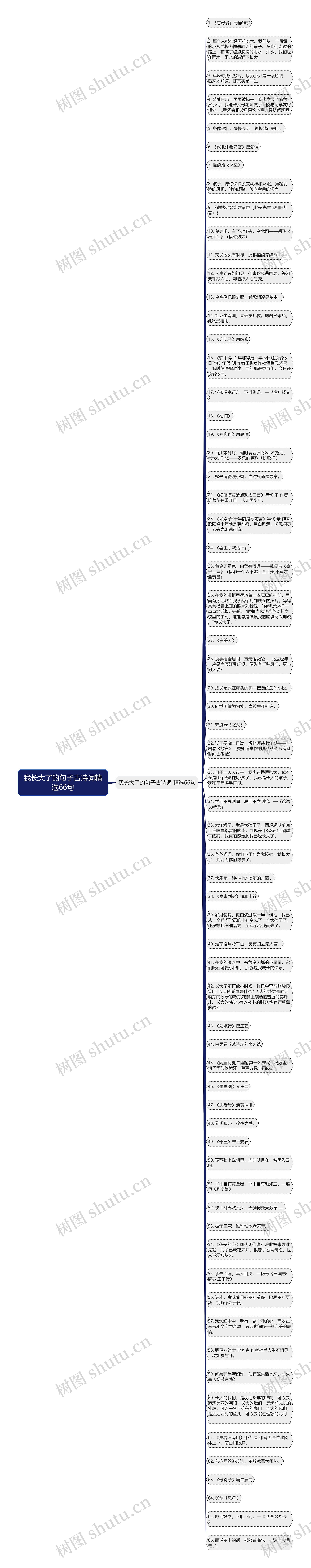 我长大了的句子古诗词精选66句思维导图