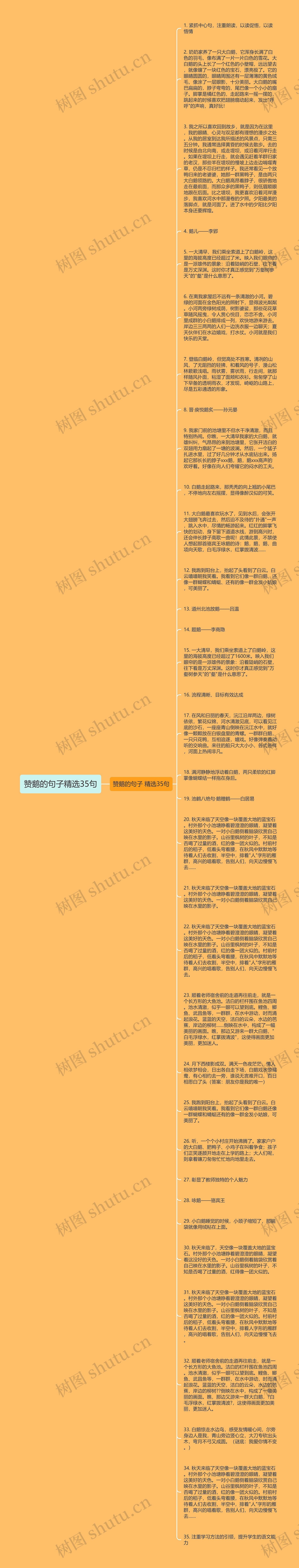 赞鹅的句子精选35句思维导图