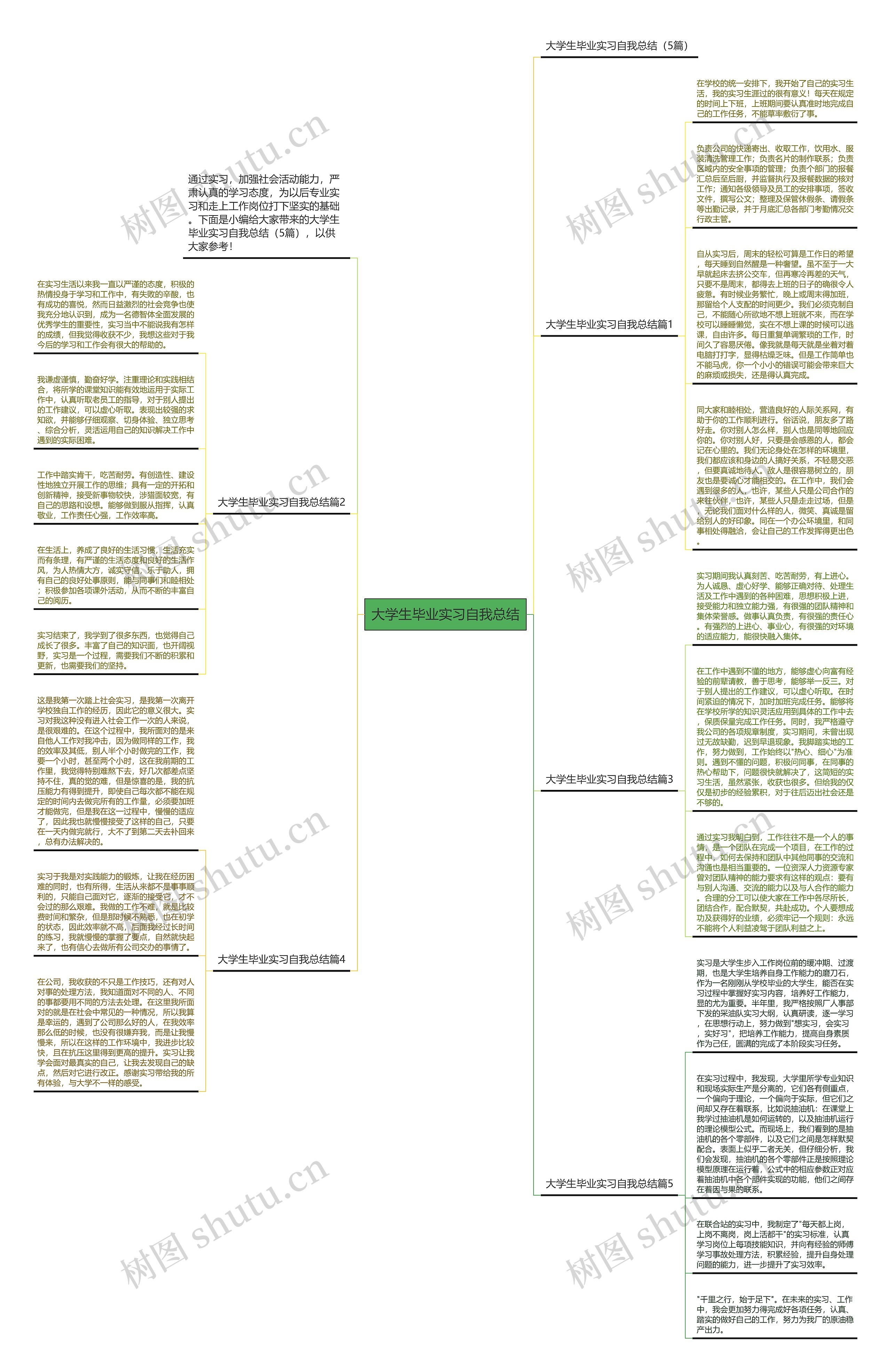 大学生毕业实习自我总结思维导图