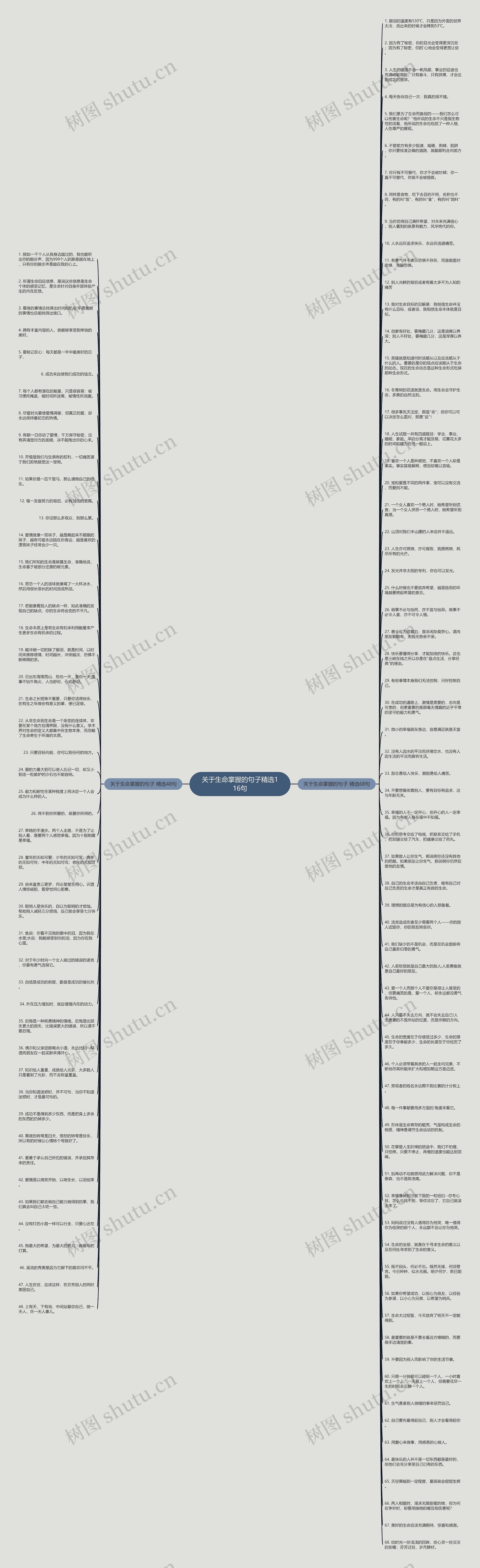 关于生命掌握的句子精选116句思维导图
