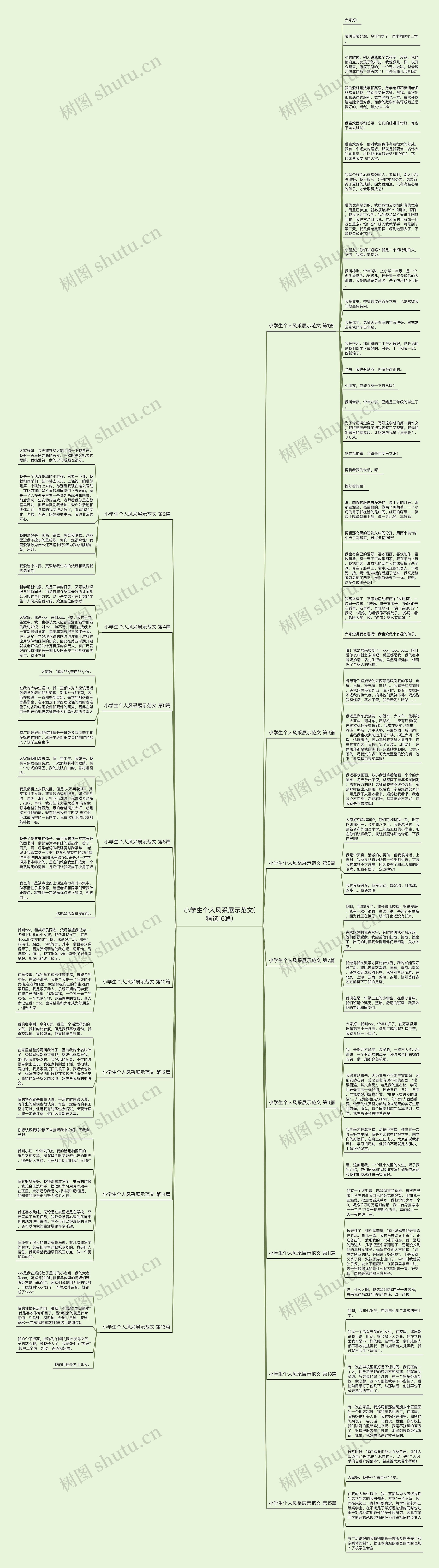小学生个人风采展示范文(精选16篇)思维导图