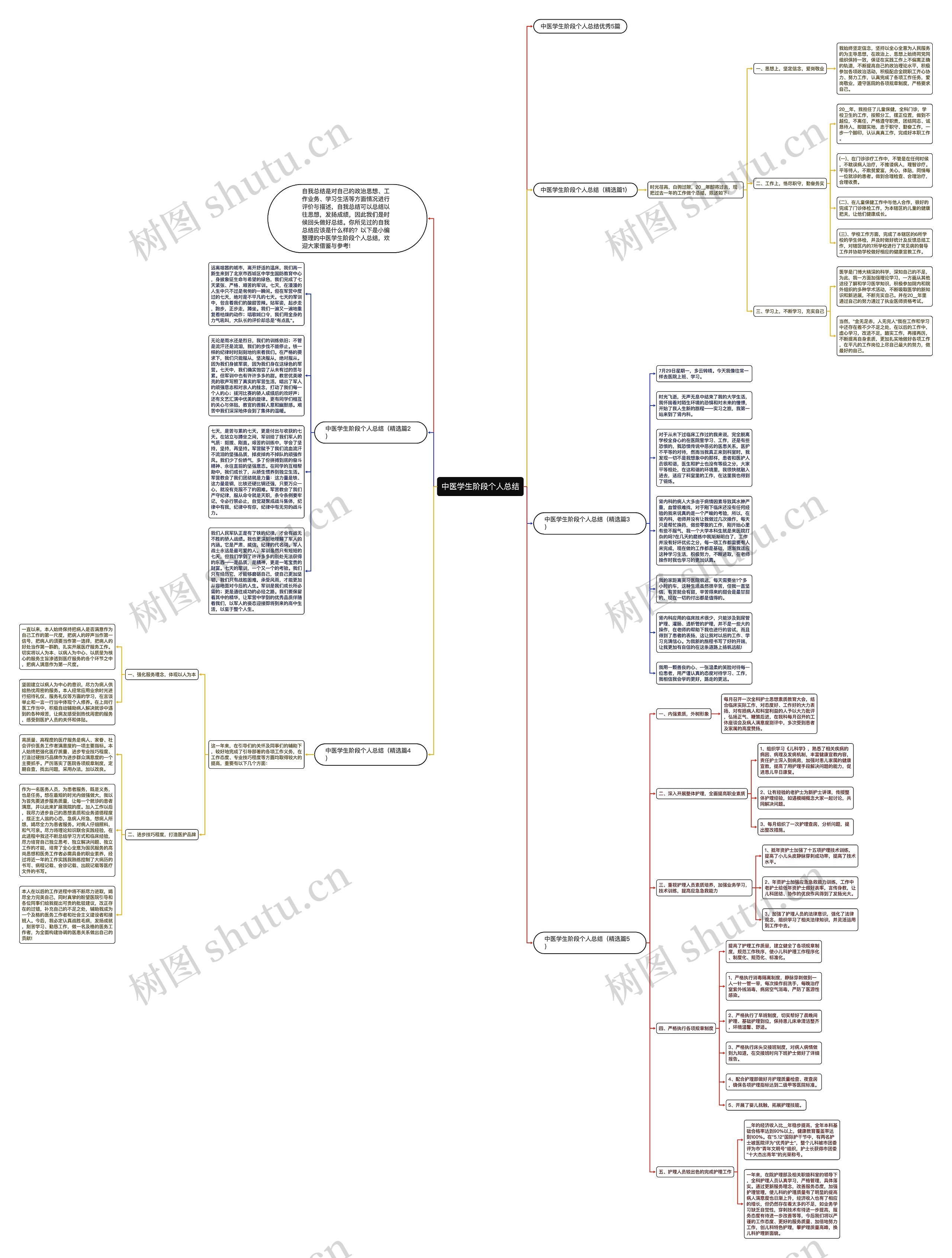 中医学生阶段个人总结思维导图