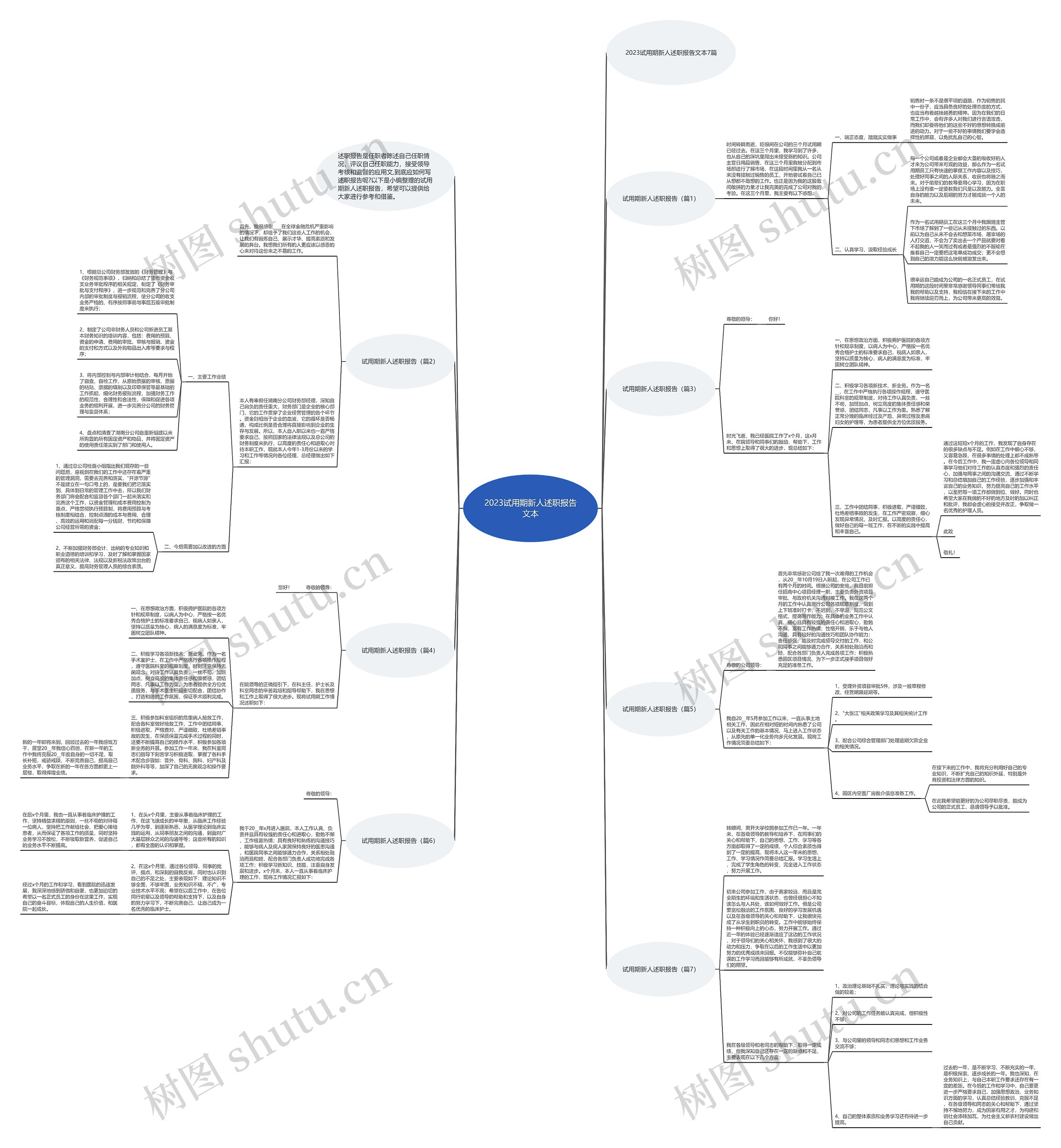 2023试用期新人述职报告文本思维导图