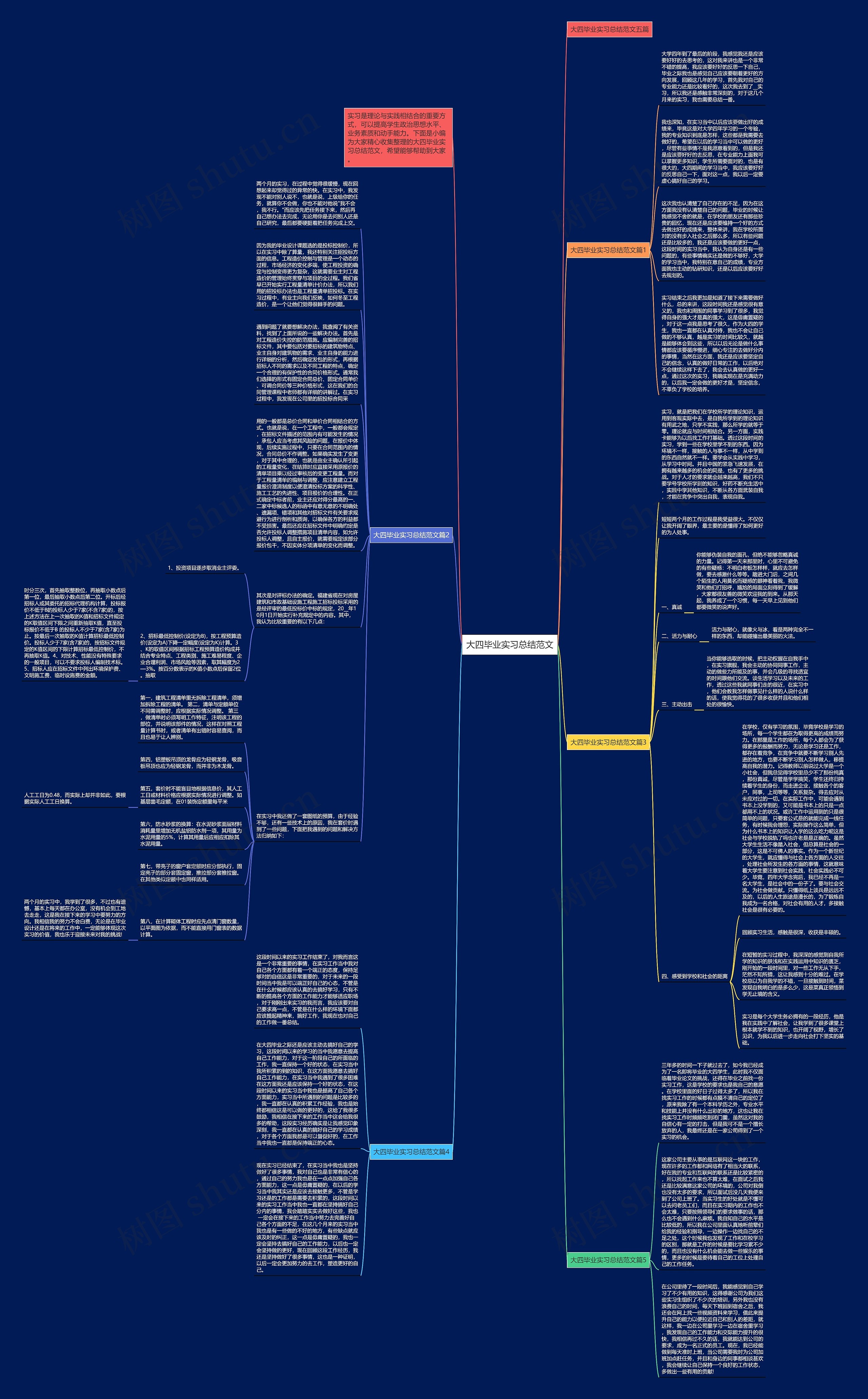 大四毕业实习总结范文思维导图