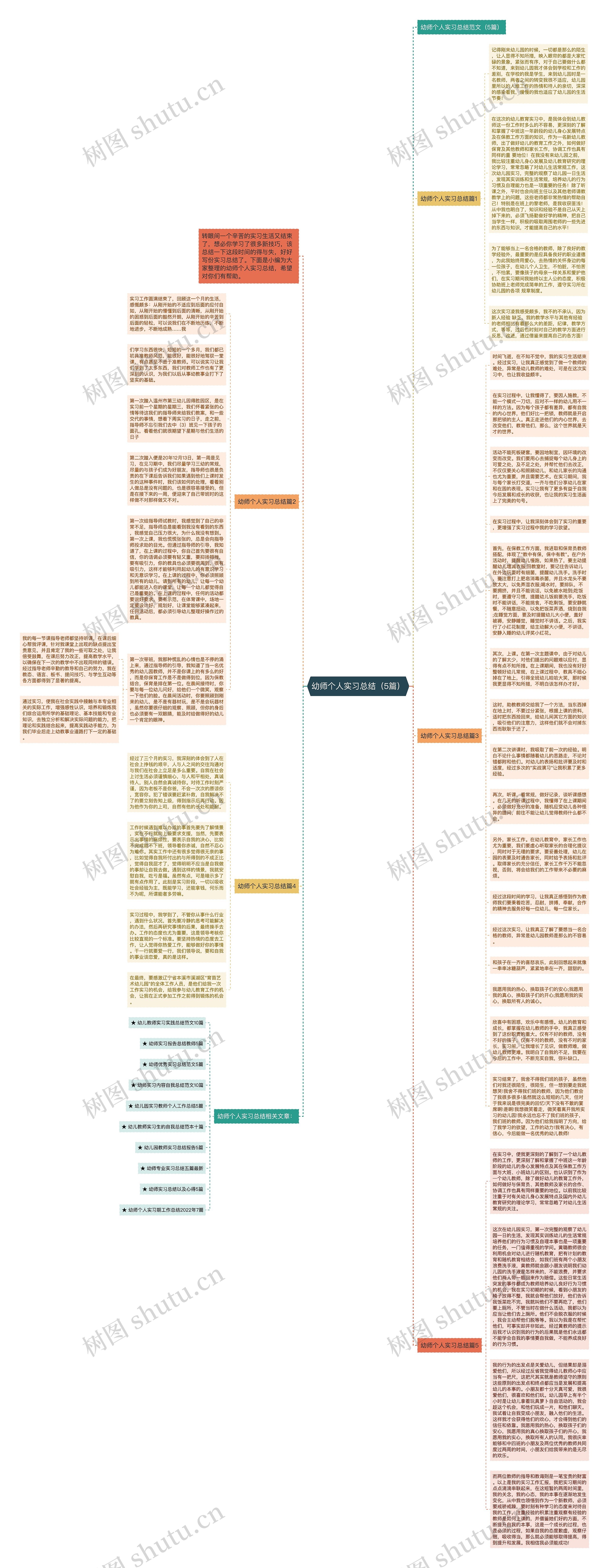 幼师个人实习总结（5篇）思维导图