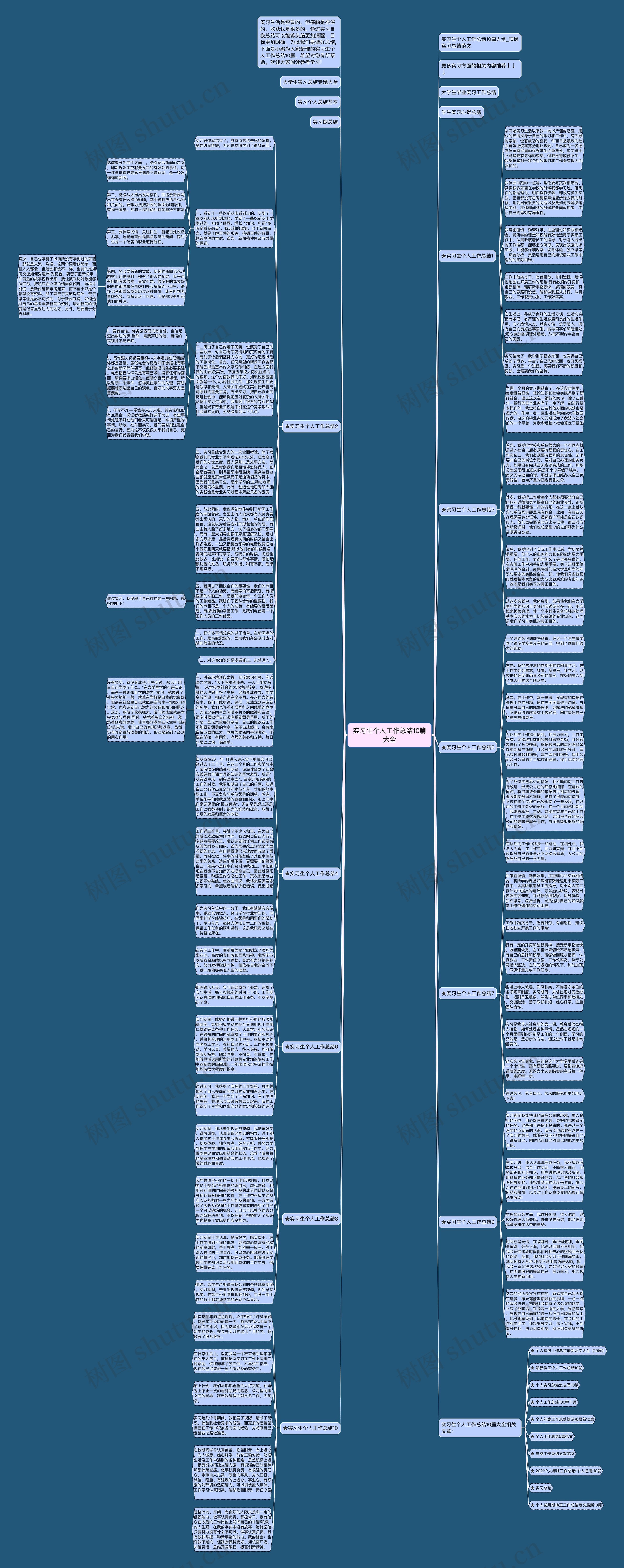 实习生个人工作总结10篇大全思维导图
