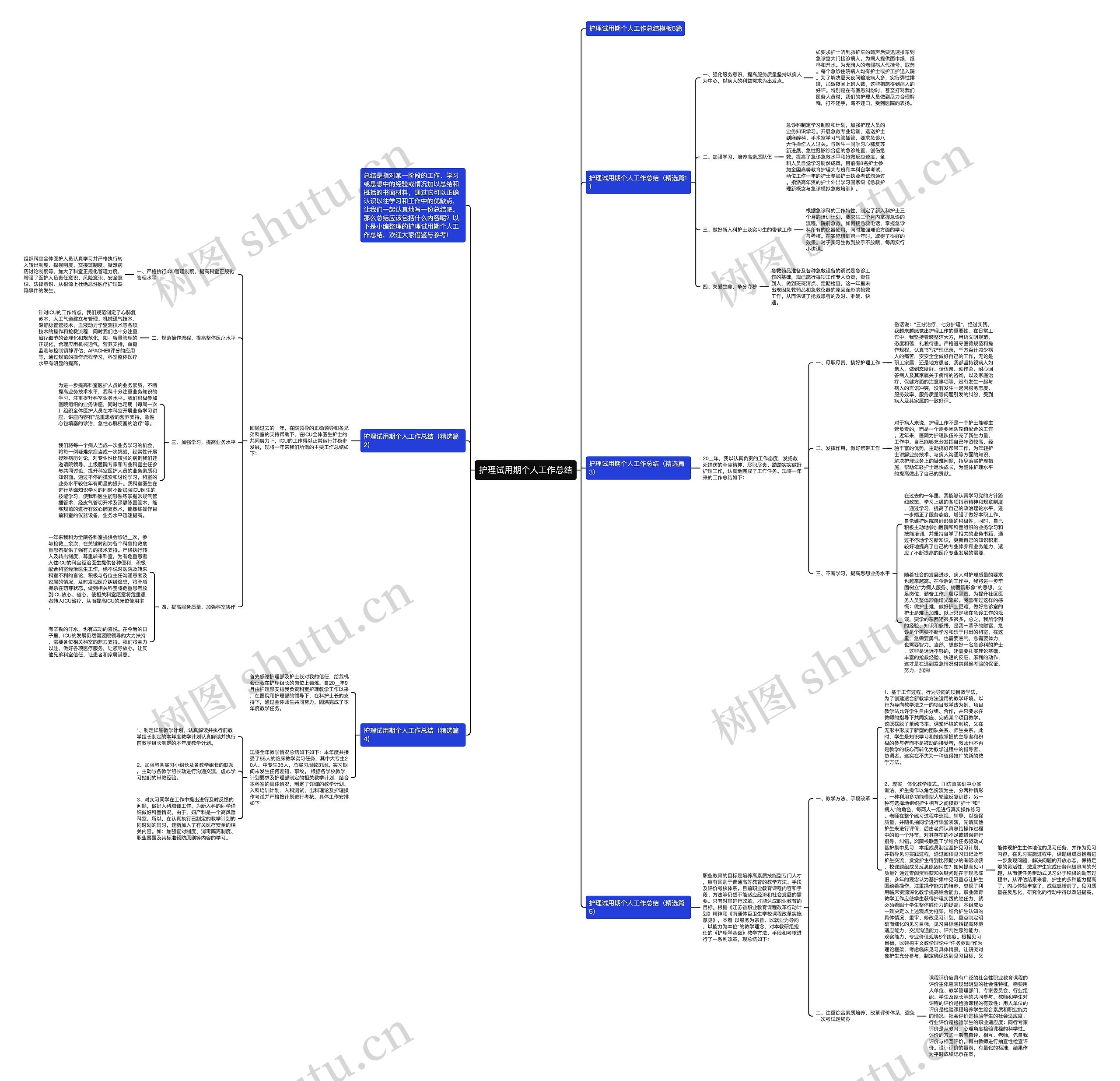 护理试用期个人工作总结思维导图
