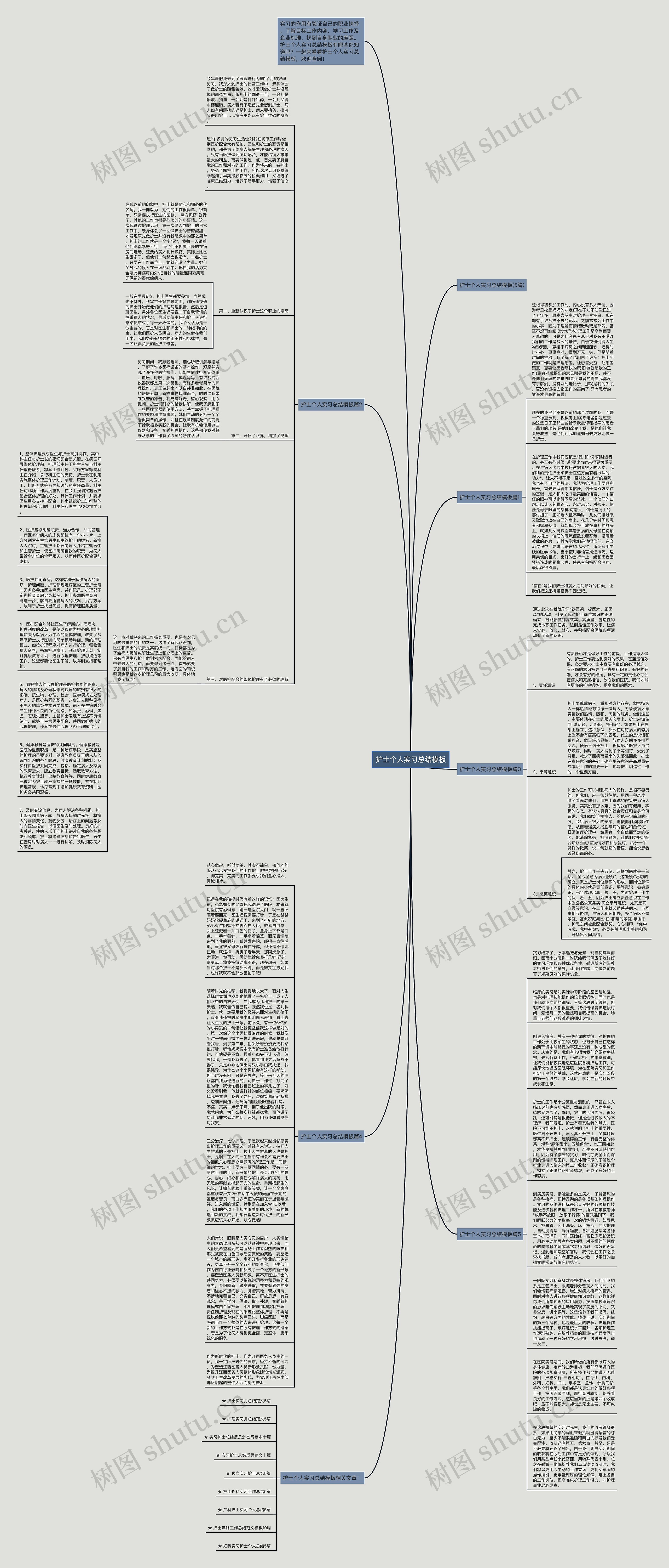护士个人实习总结模板