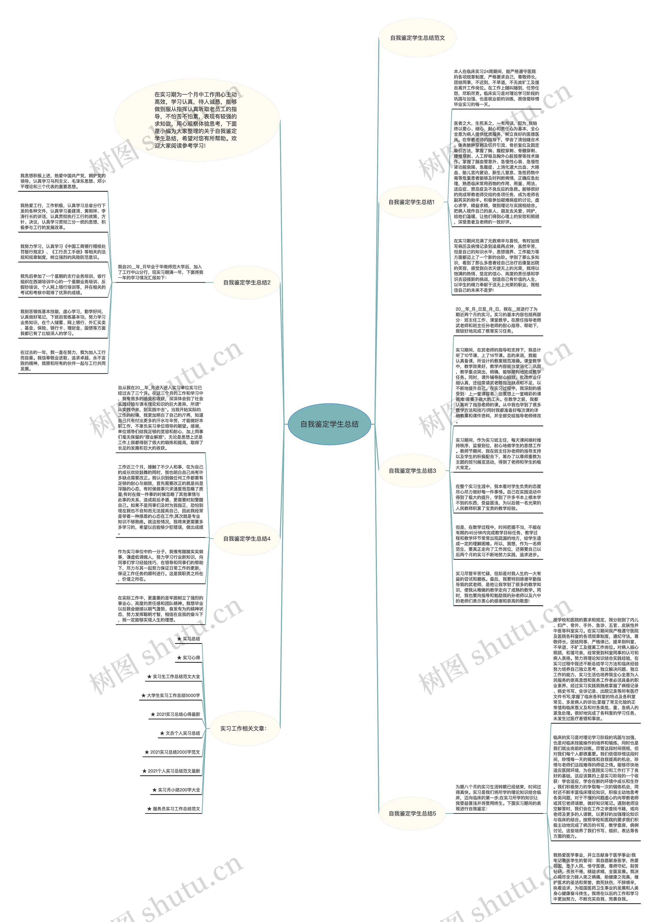 自我鉴定学生总结思维导图