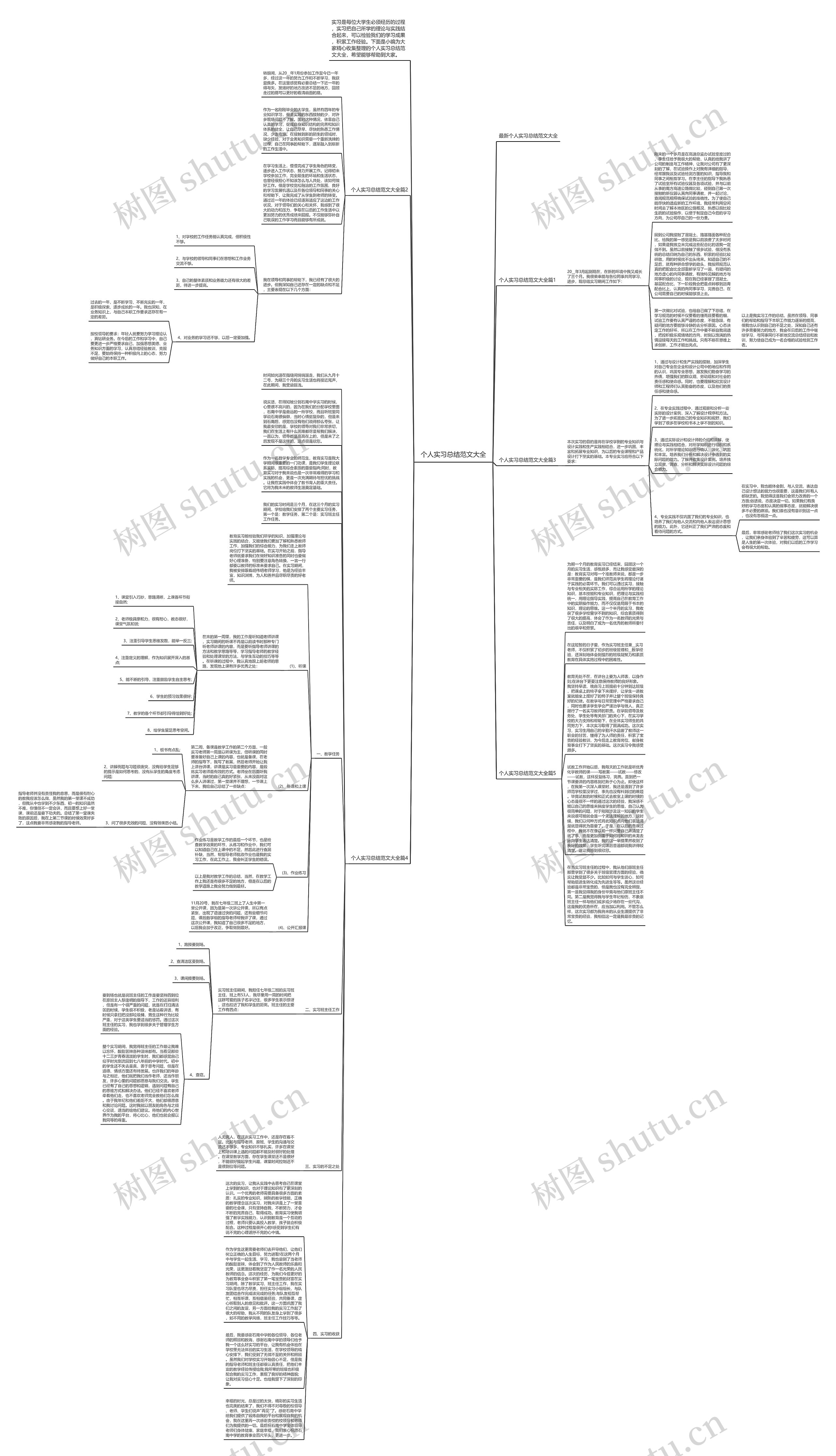 个人实习总结范文大全思维导图
