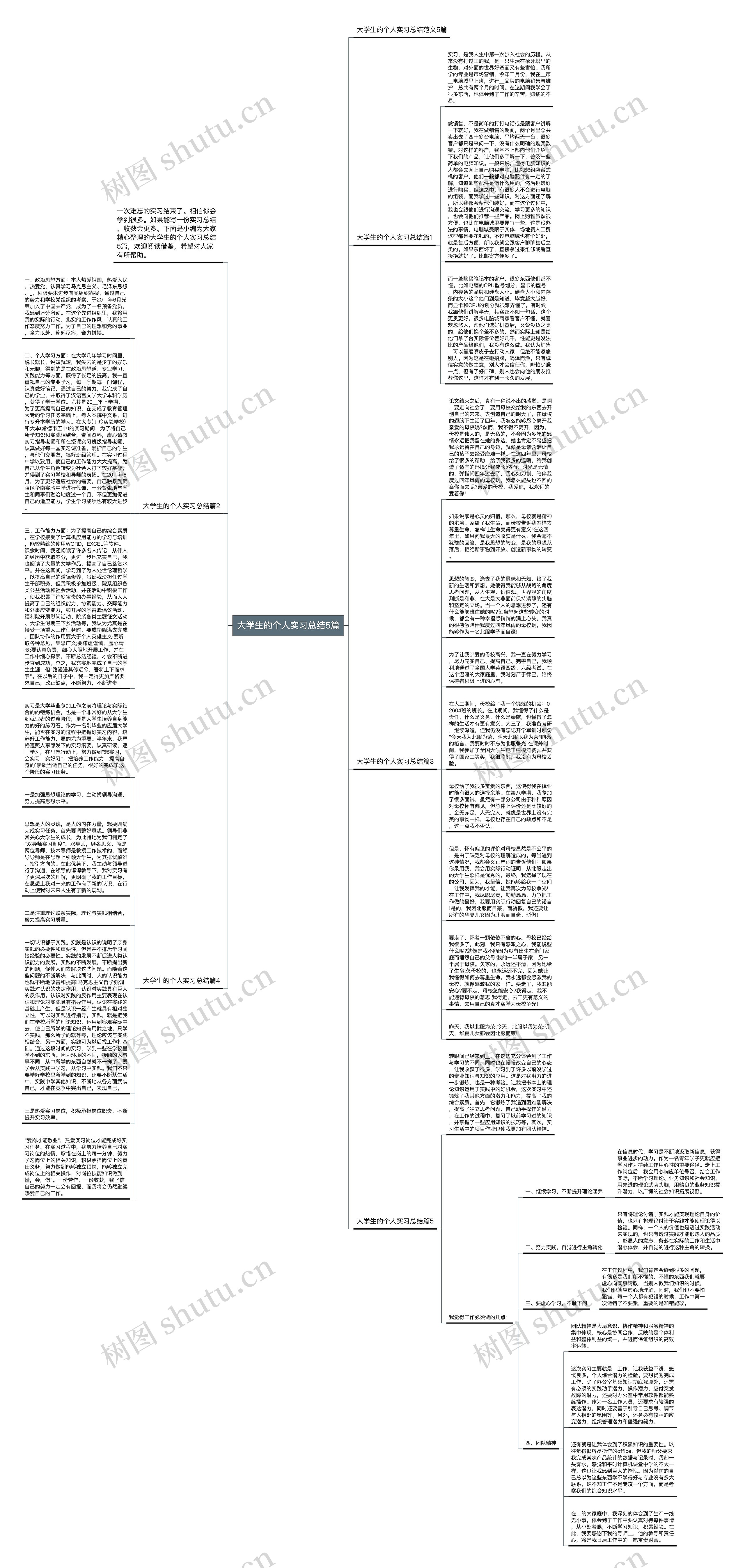 大学生的个人实习总结5篇