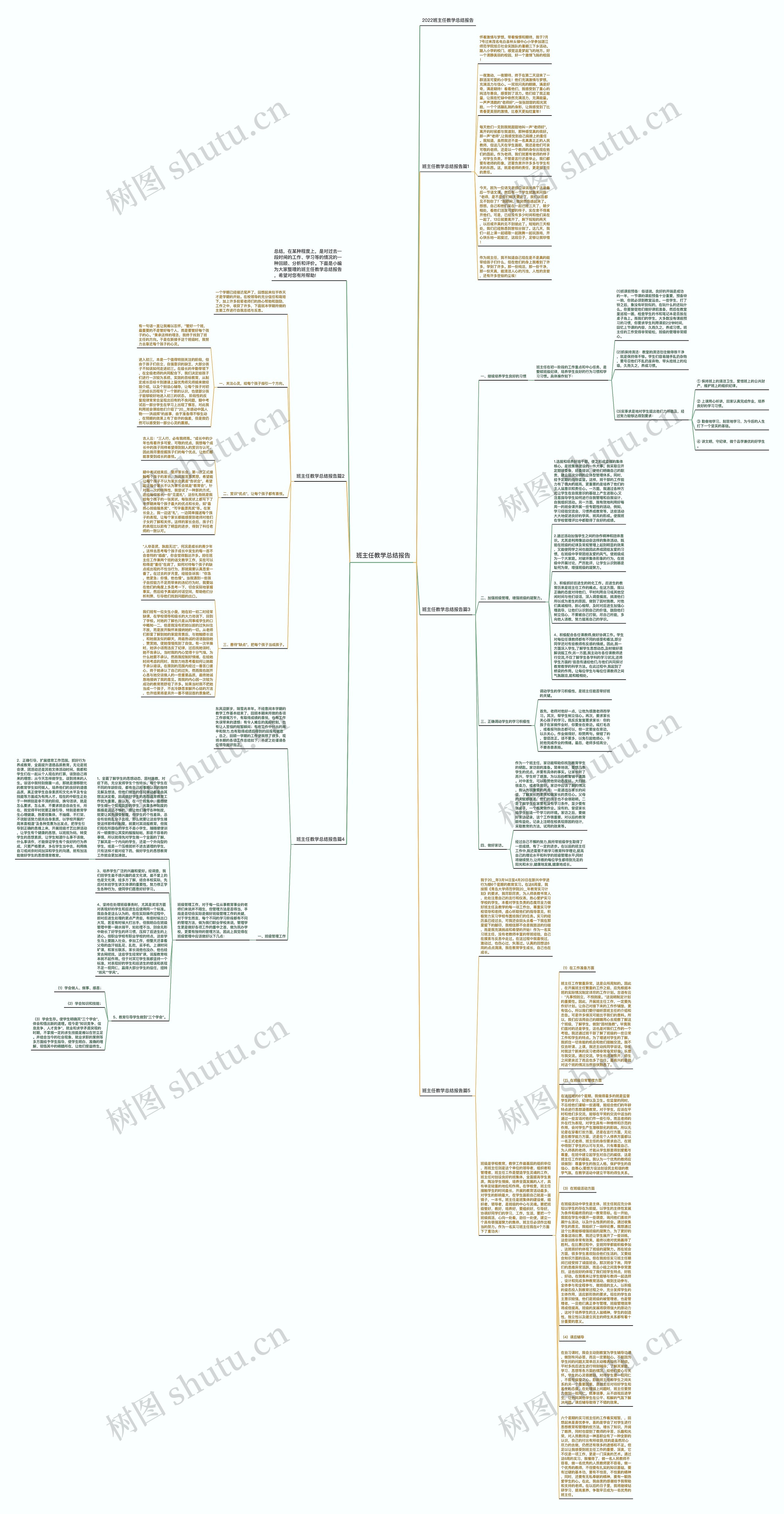 班主任教学总结报告思维导图