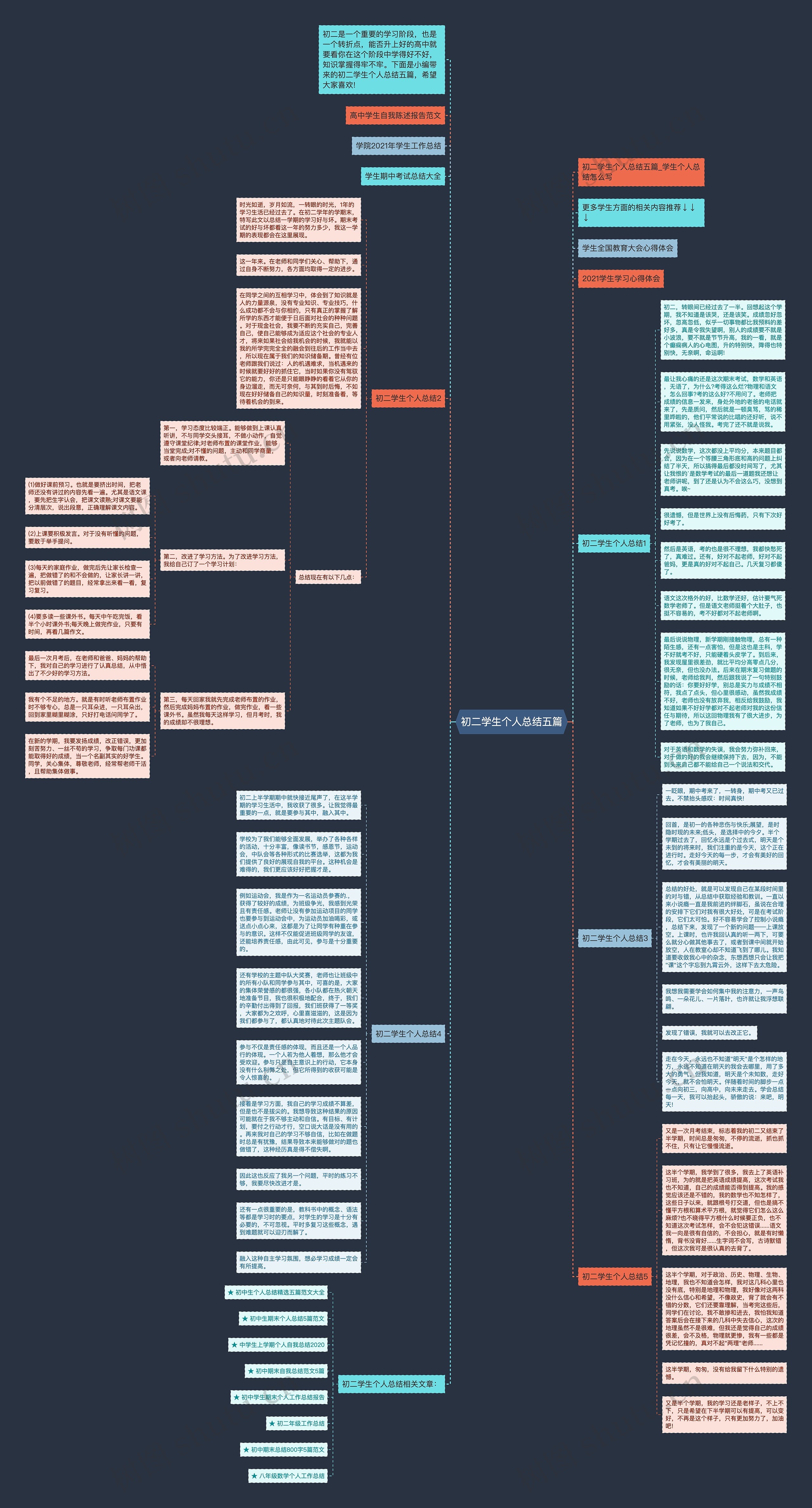 初二学生个人总结五篇思维导图