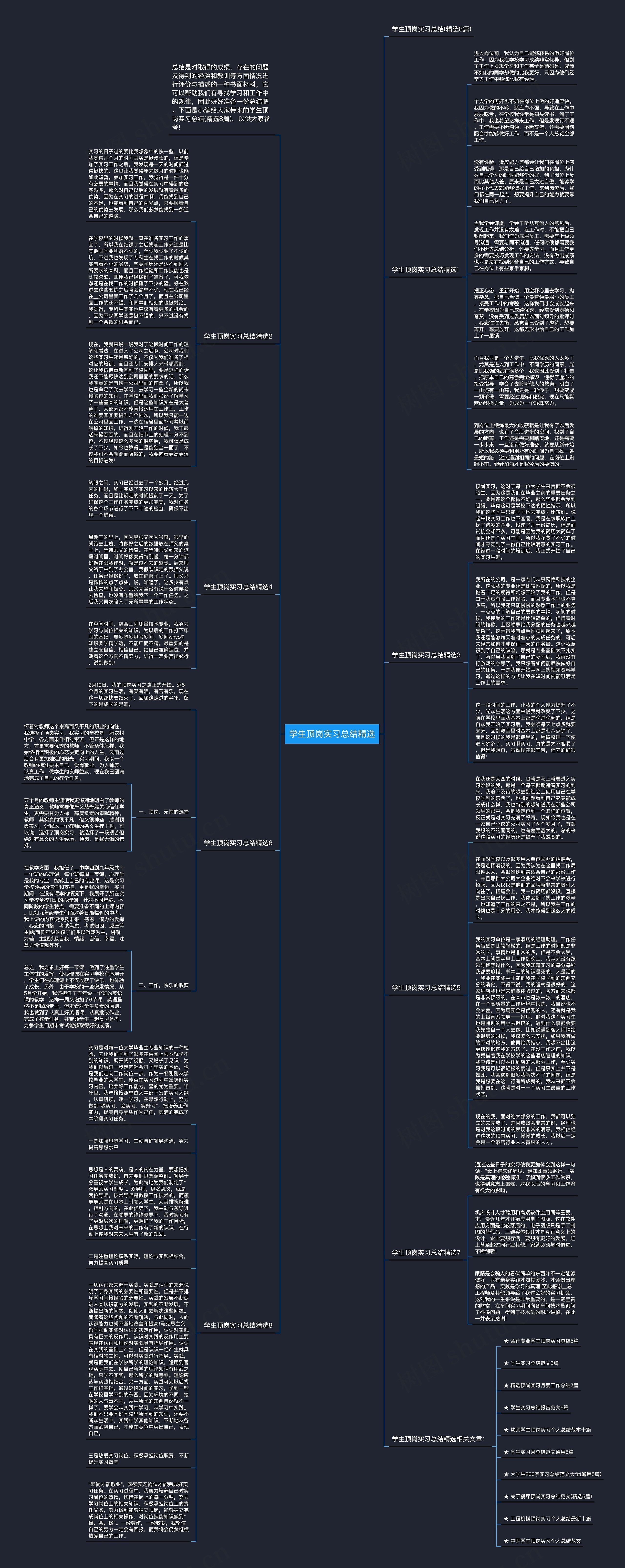 学生顶岗实习总结精选