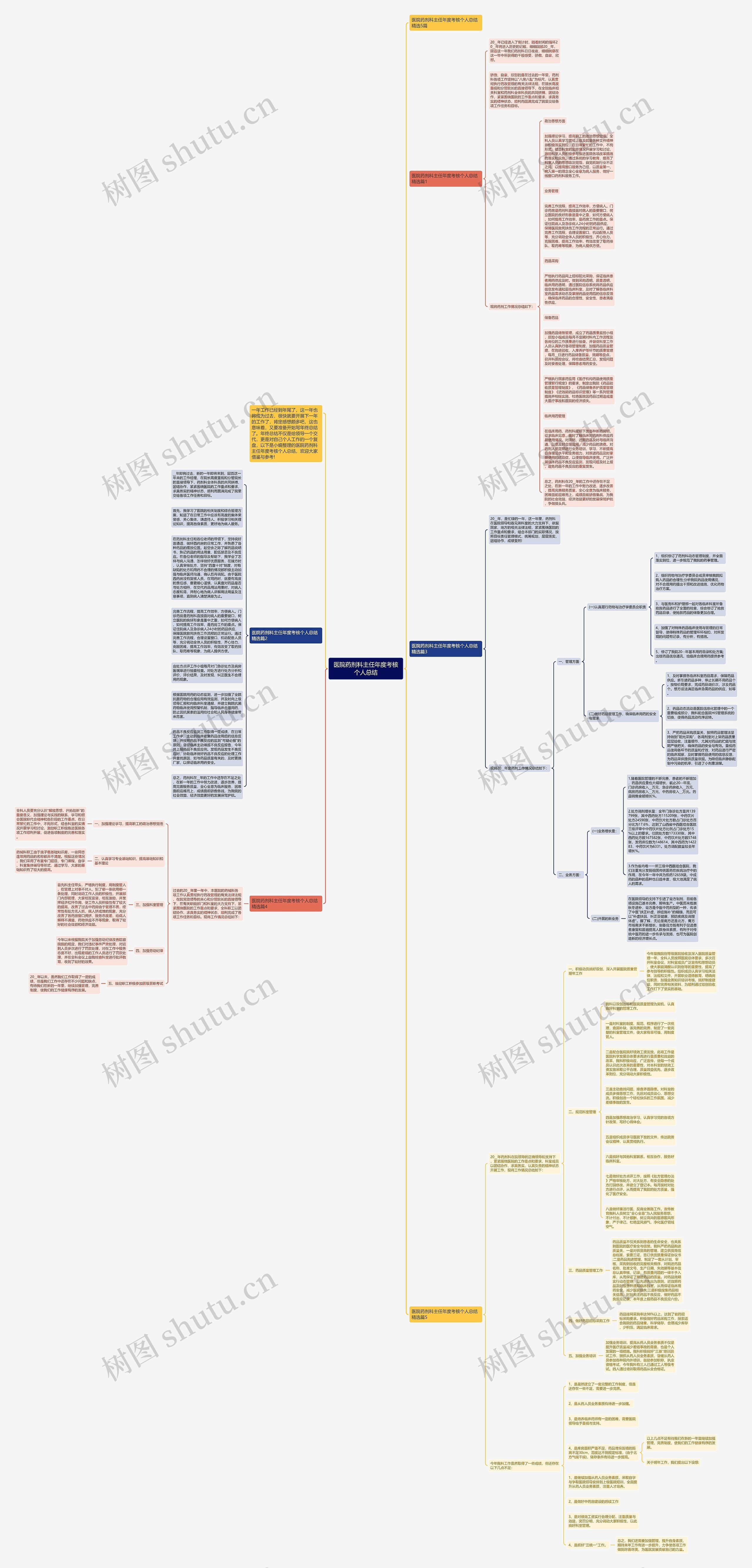医院药剂科主任年度考核个人总结思维导图