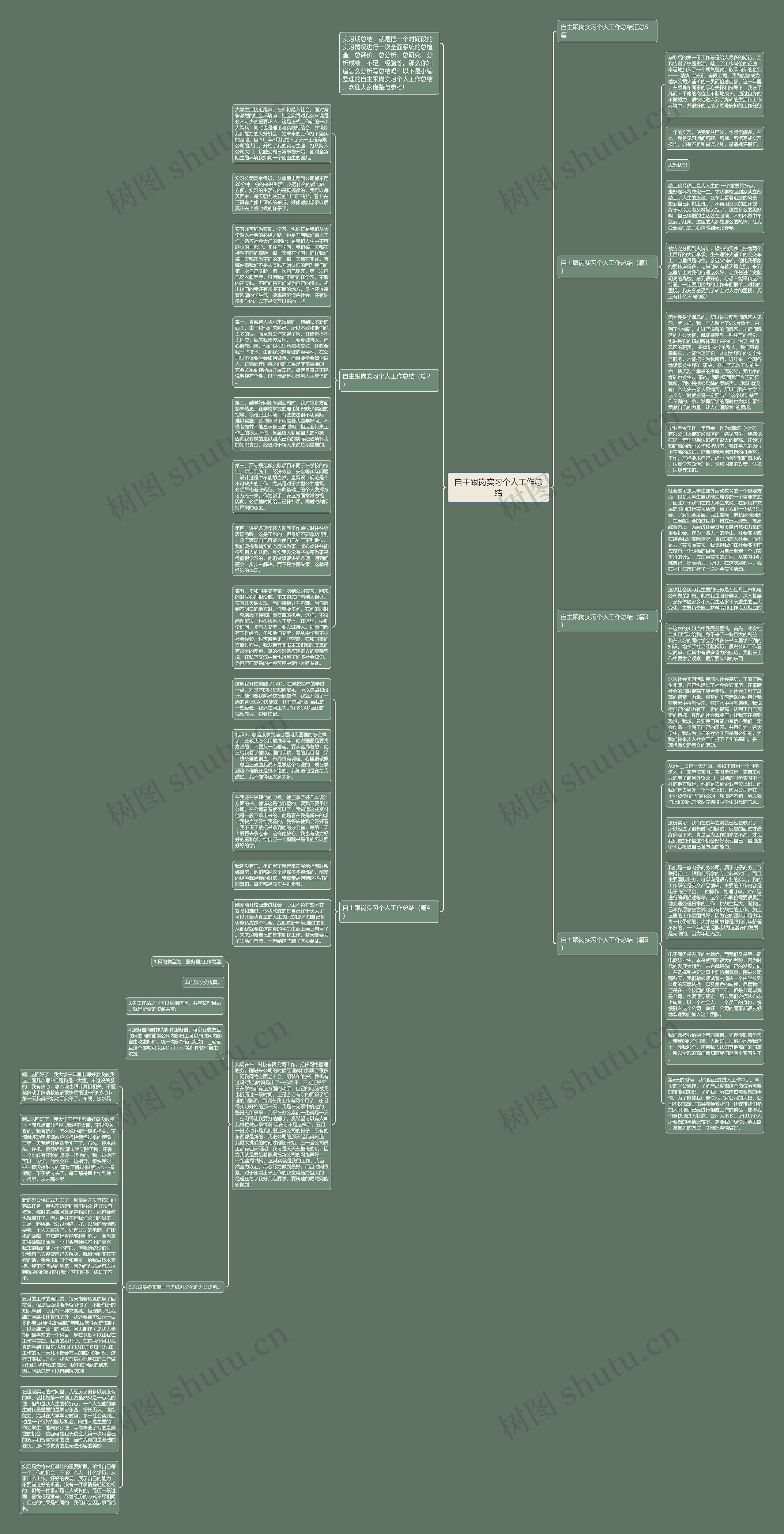 自主跟岗实习个人工作总结思维导图