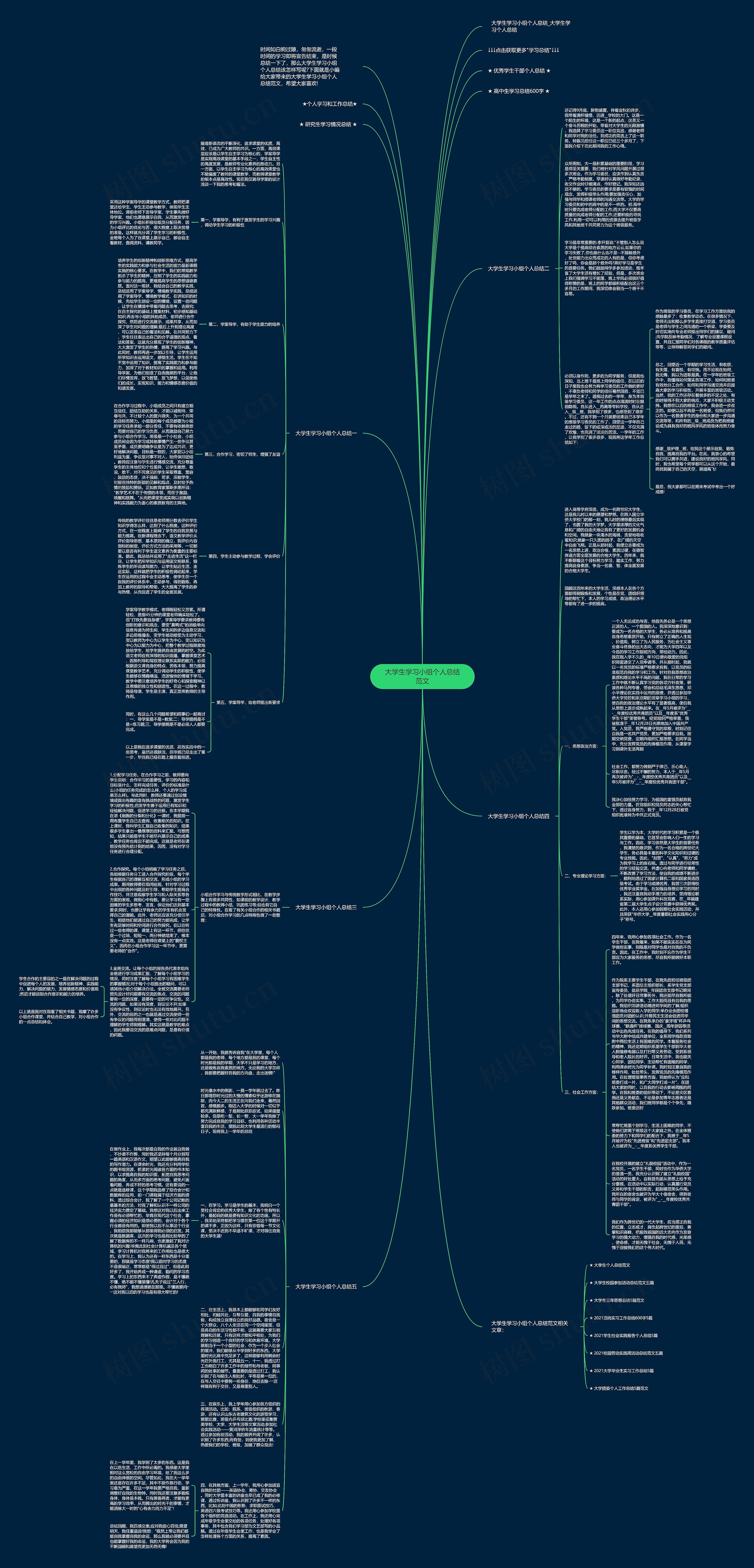 大学生学习小组个人总结范文思维导图