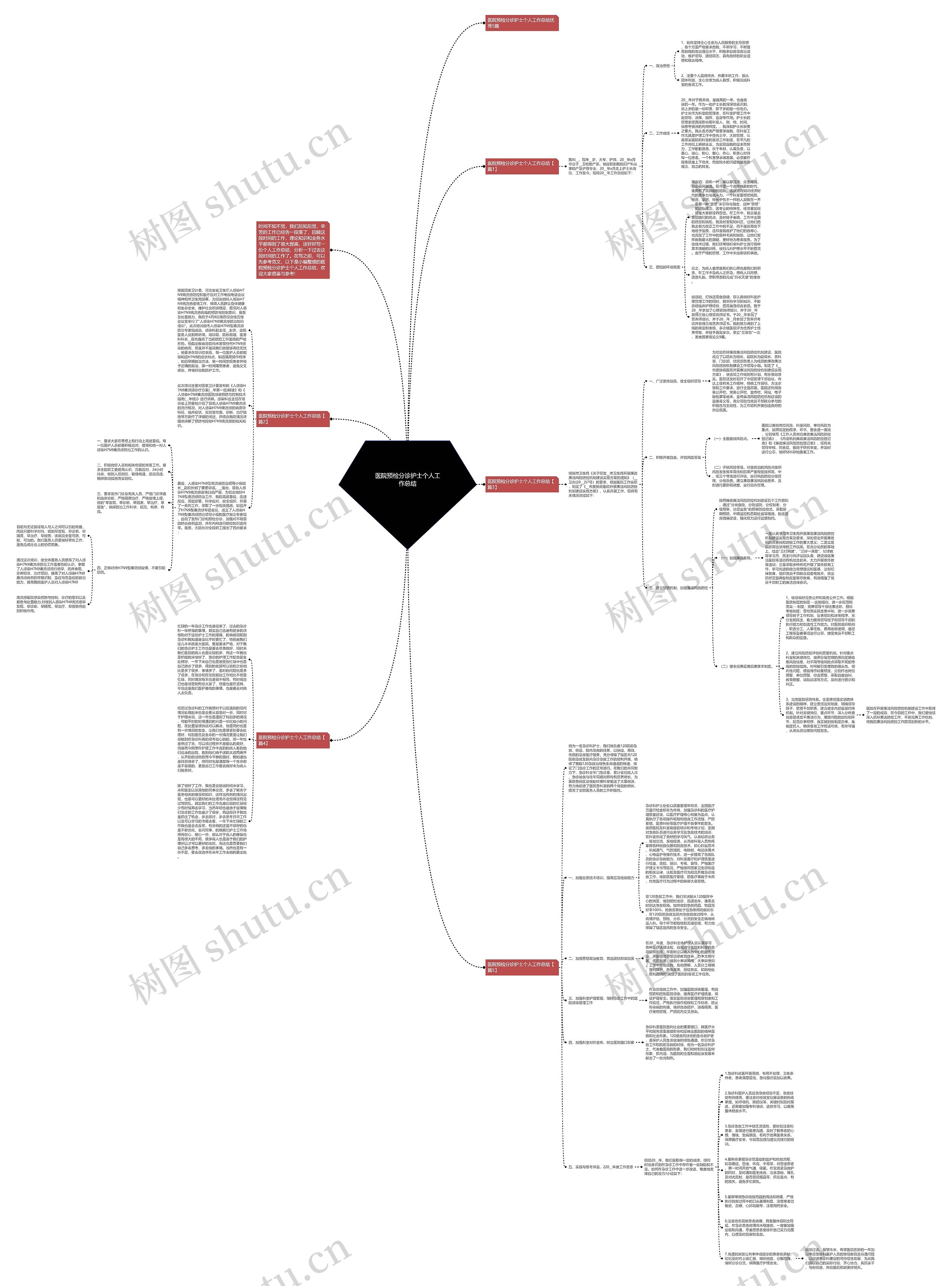 医院预检分诊护士个人工作总结思维导图