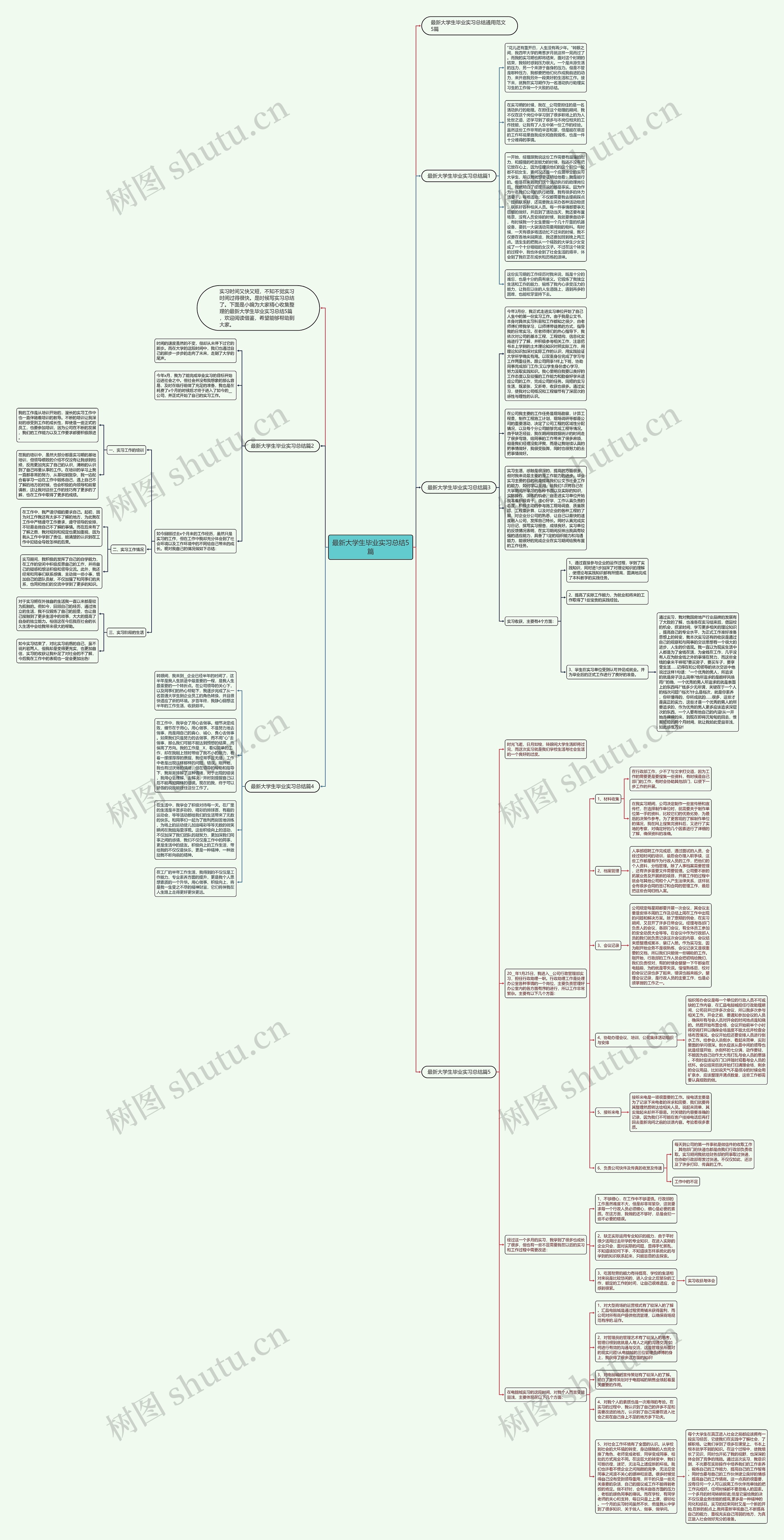 最新大学生毕业实习总结5篇思维导图
