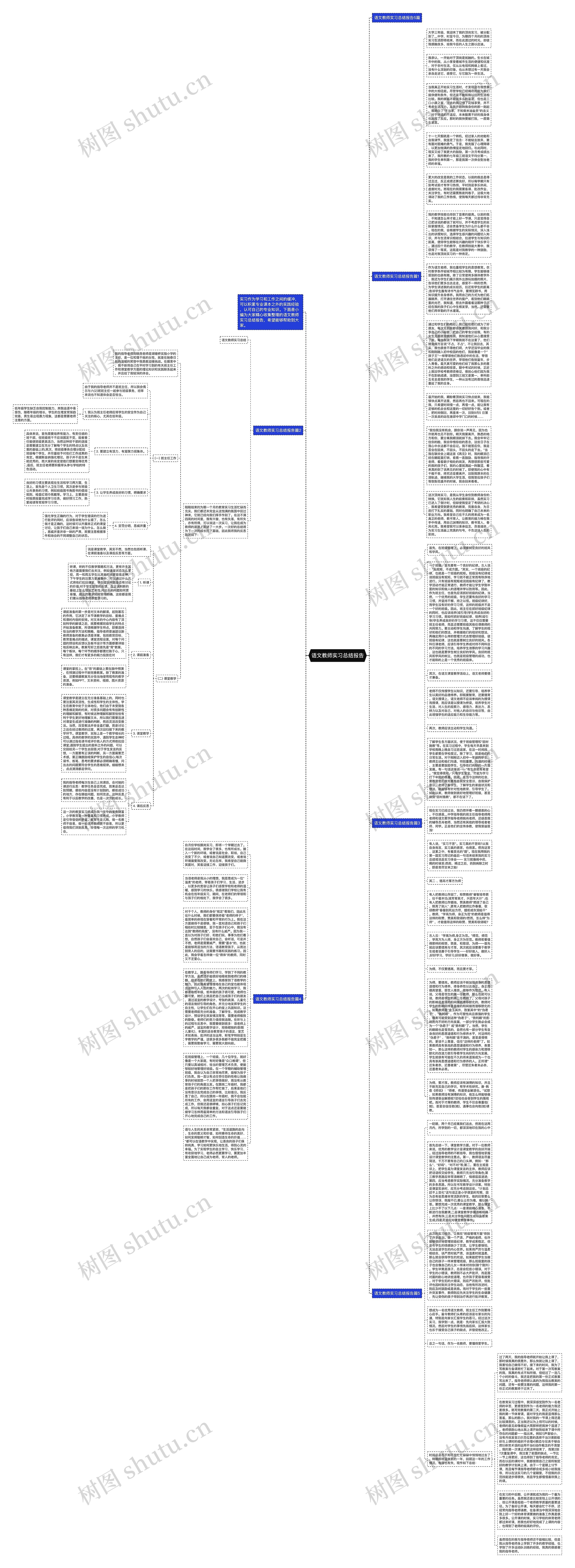 语文教师实习总结报告