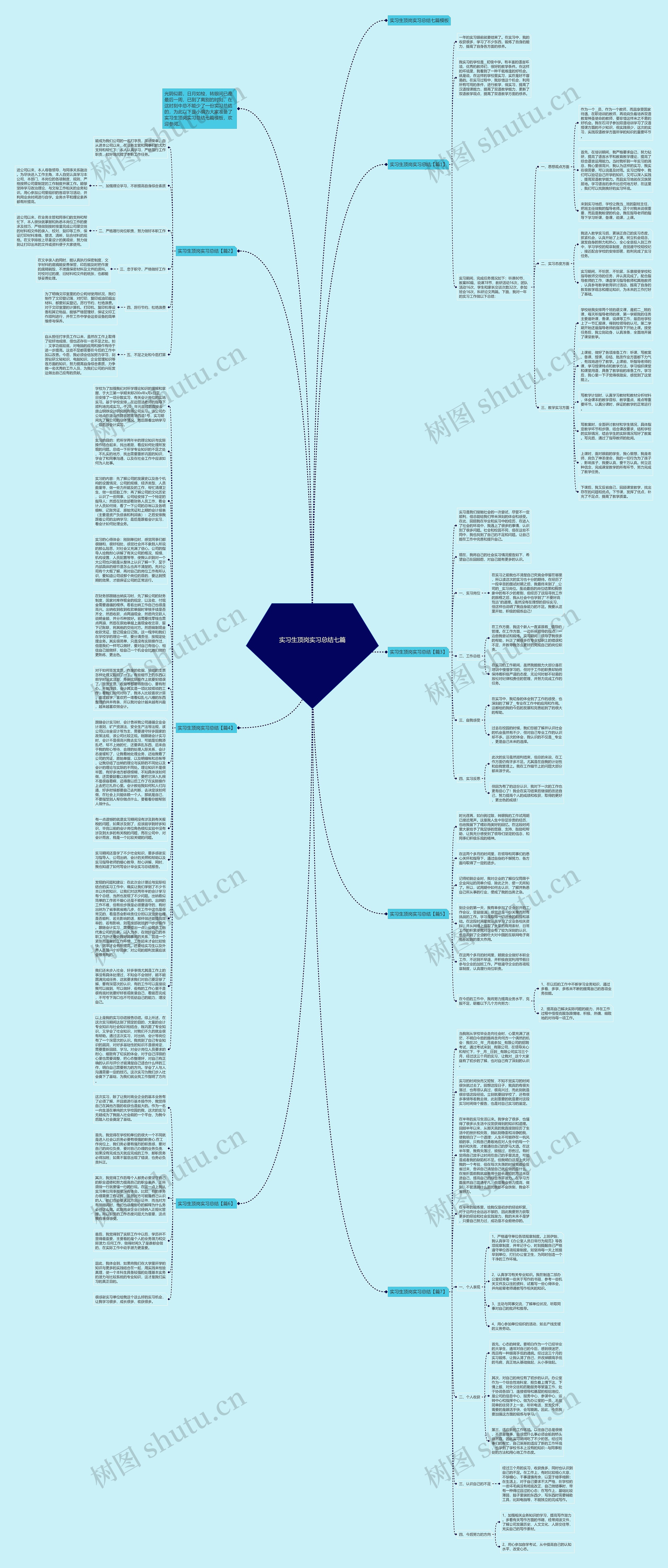 实习生顶岗实习总结七篇思维导图