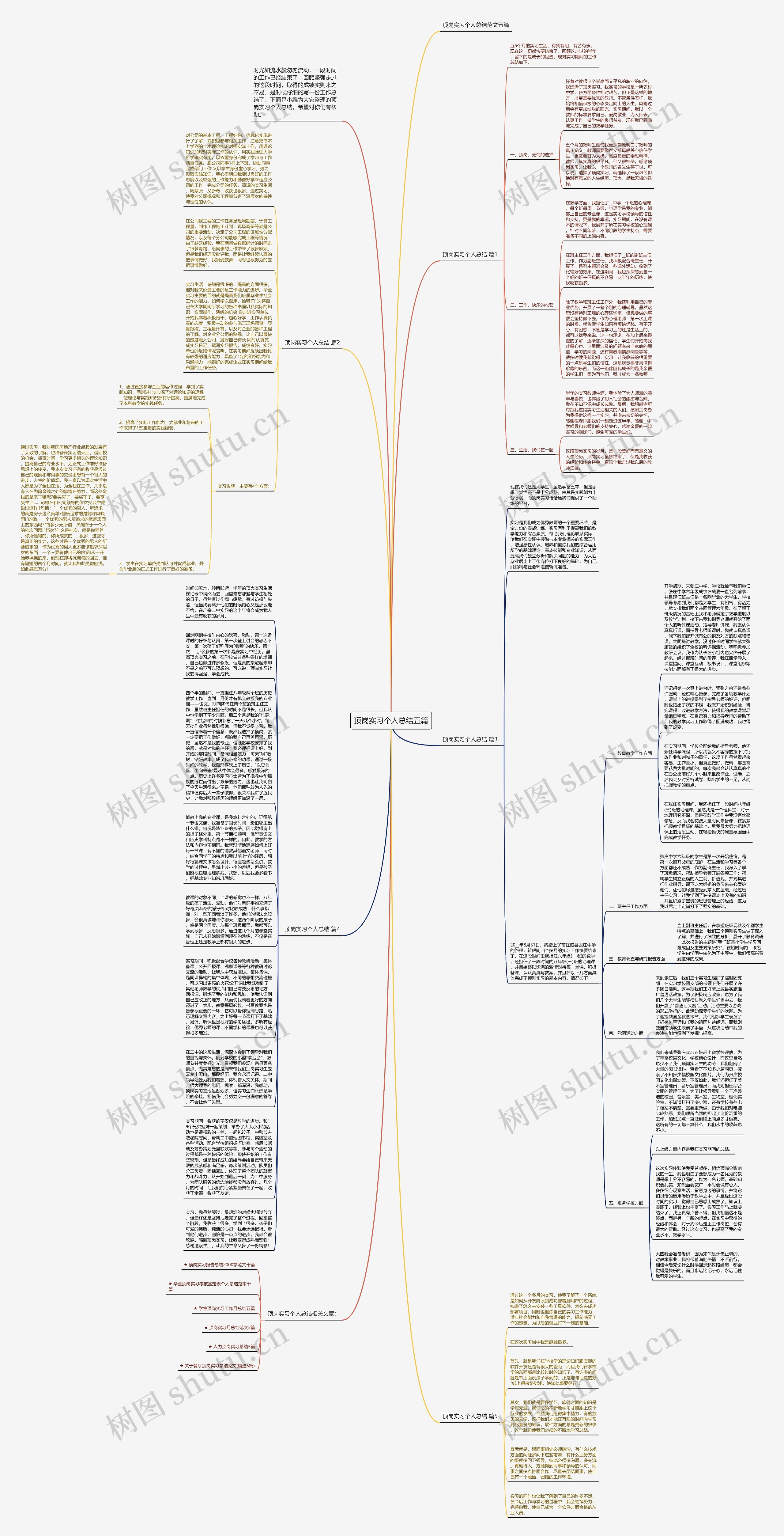 顶岗实习个人总结五篇思维导图