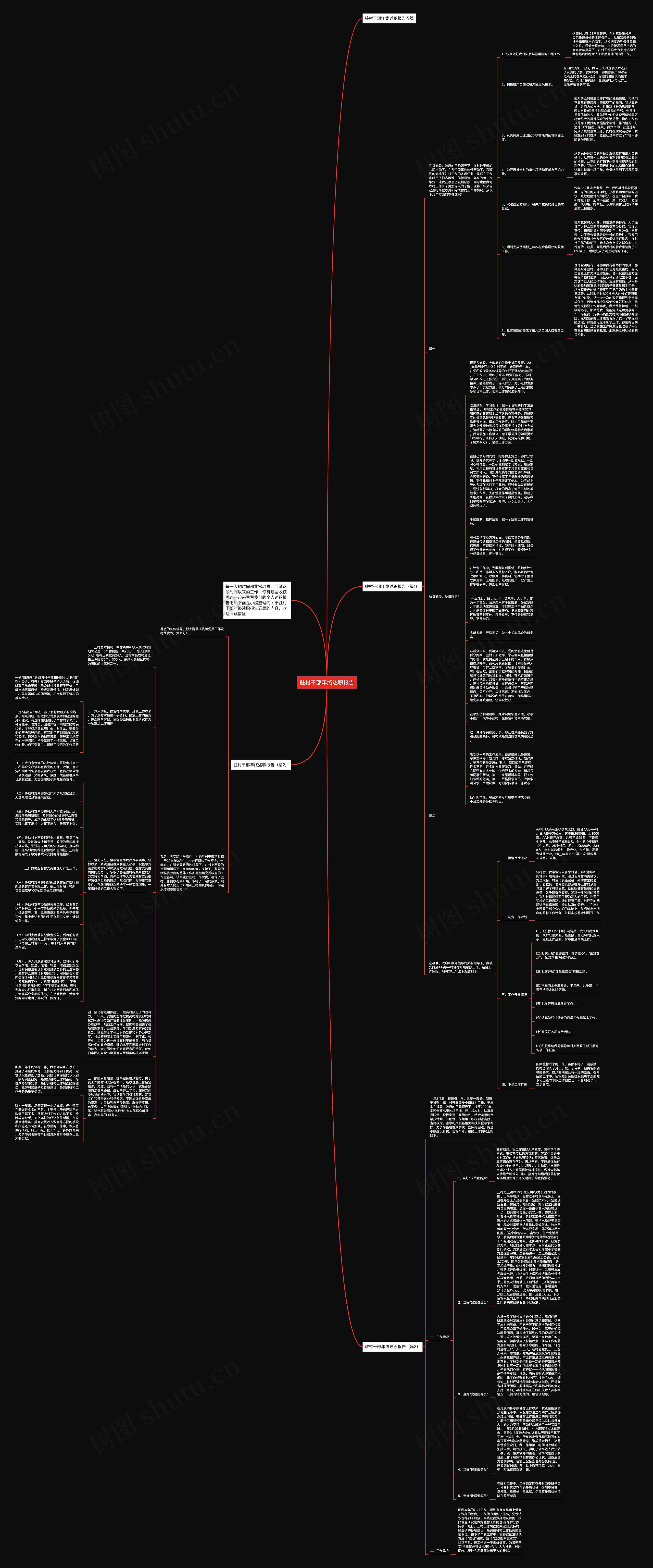 驻村干部年终述职报告思维导图