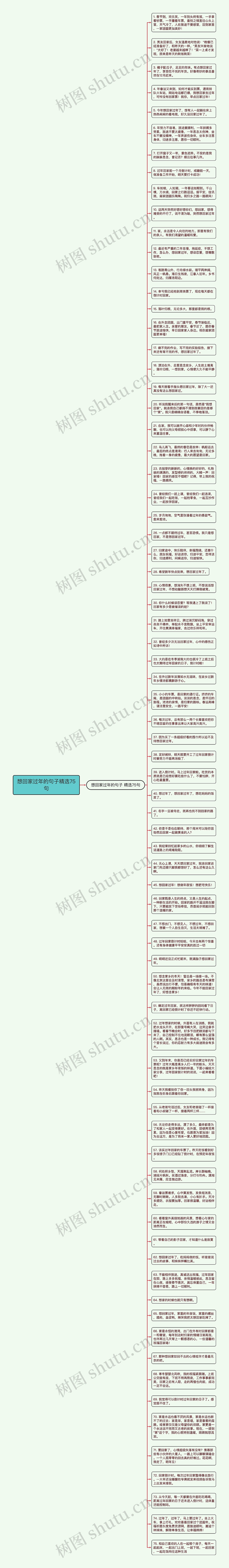 想回家过年的句子精选75句思维导图