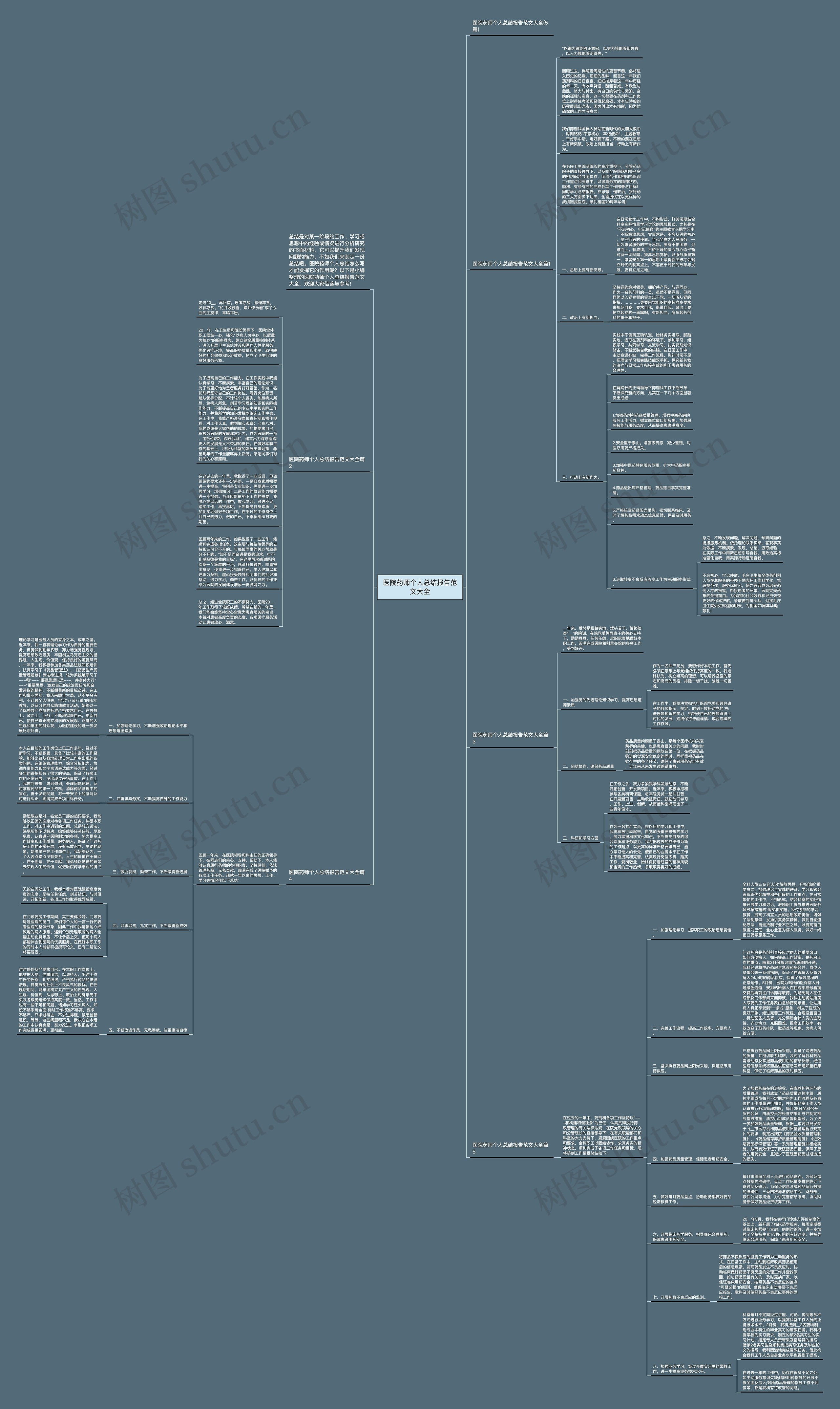 医院药师个人总结报告范文大全思维导图