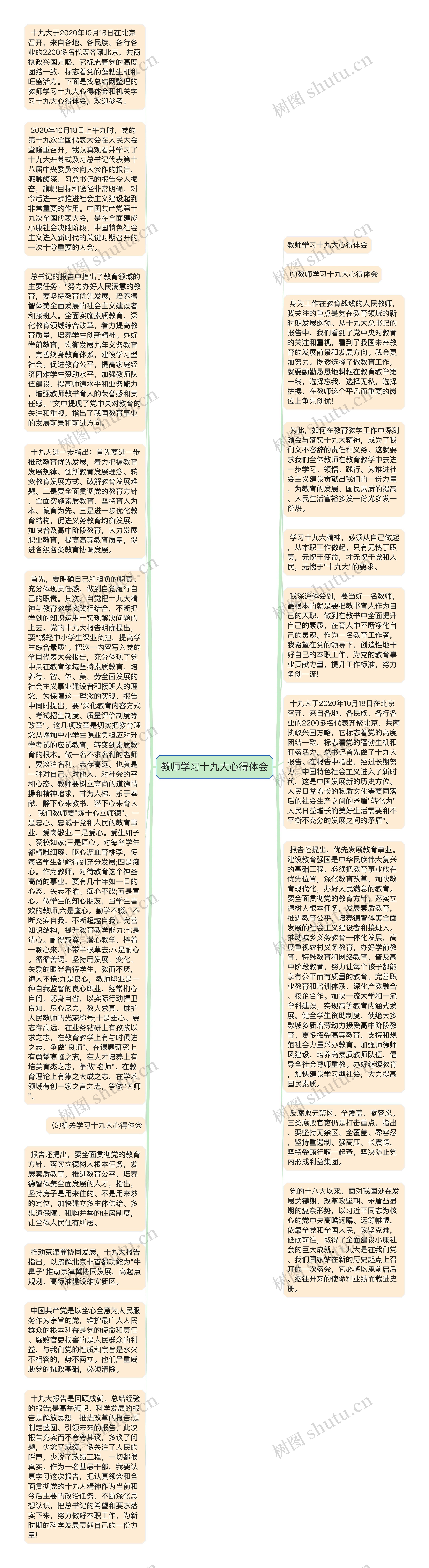 教师学习十九大心得体会