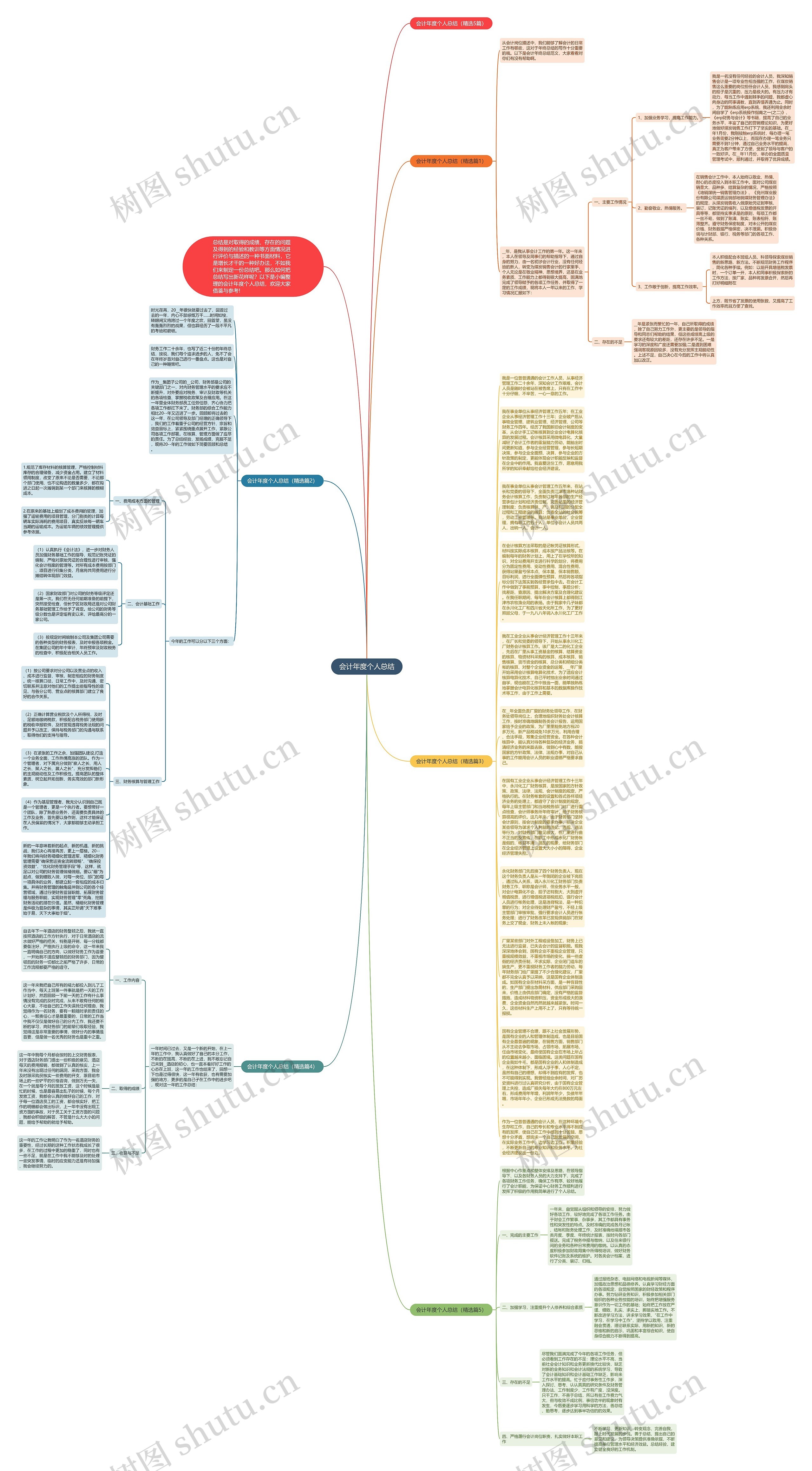 会计年度个人总结思维导图