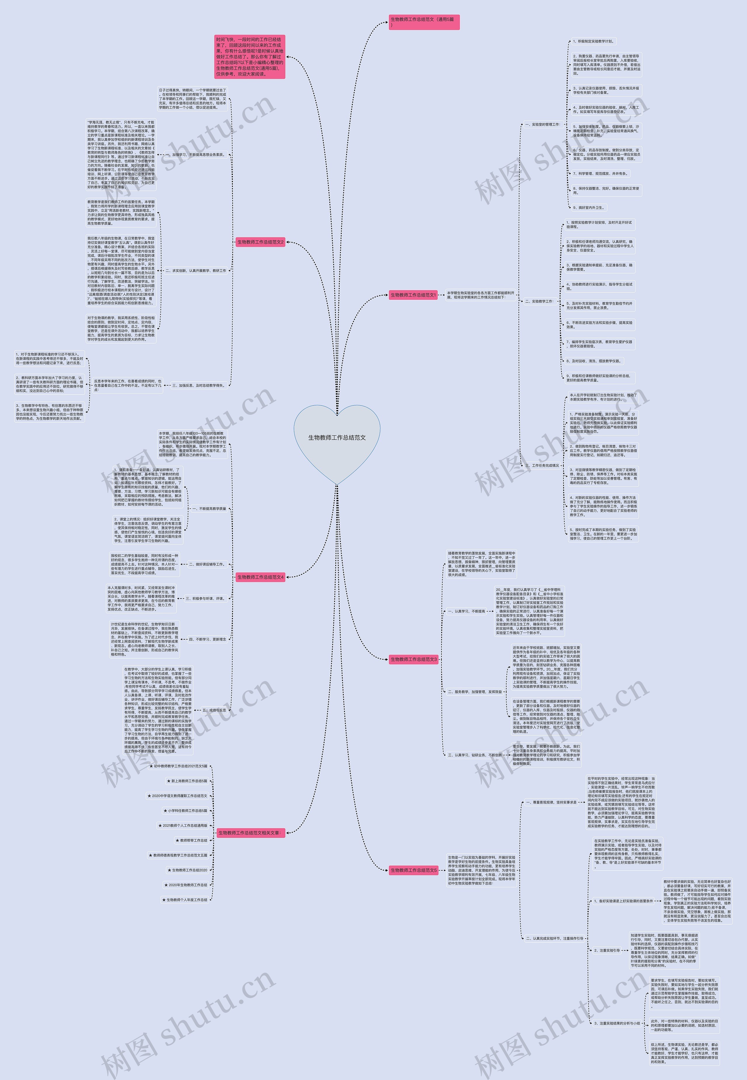 生物教师工作总结范文思维导图