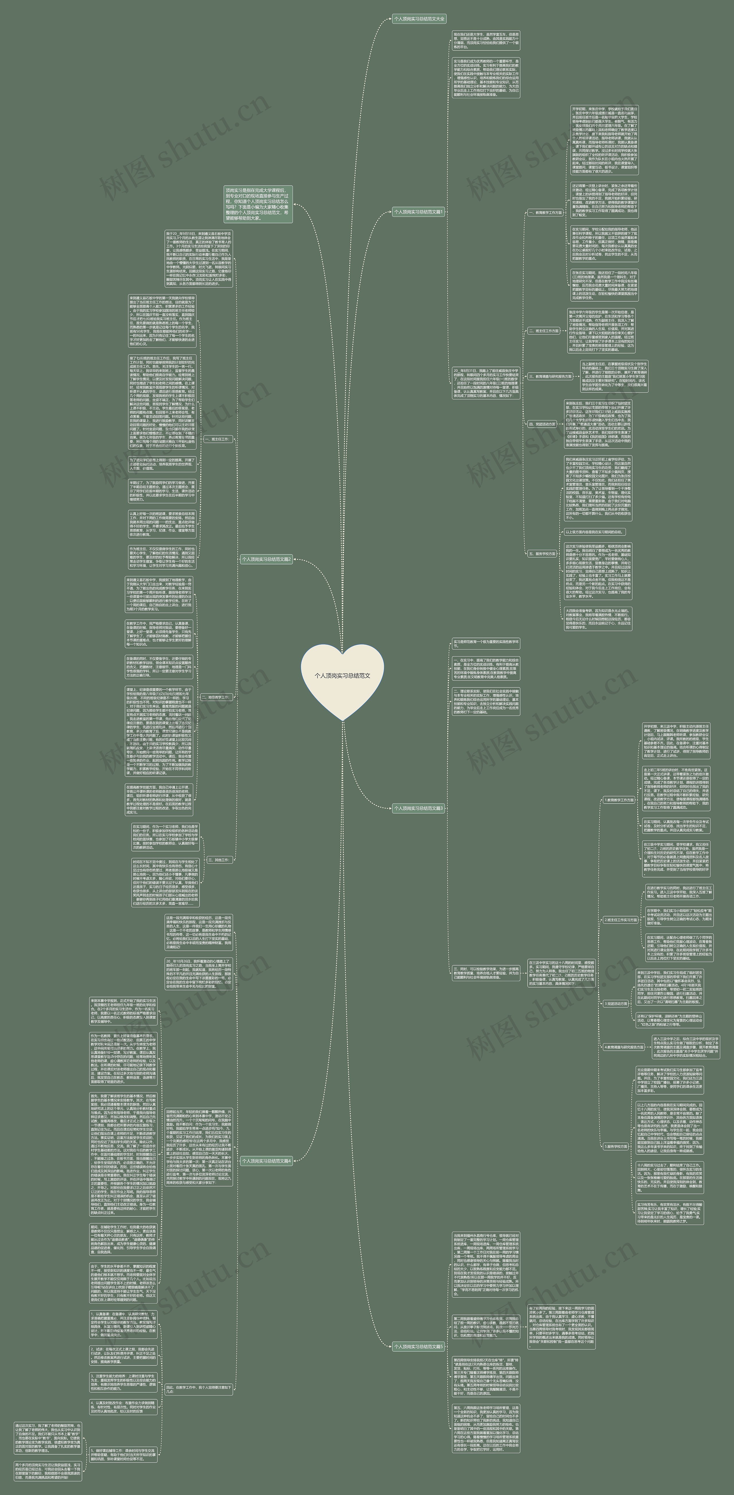 个人顶岗实习总结范文思维导图