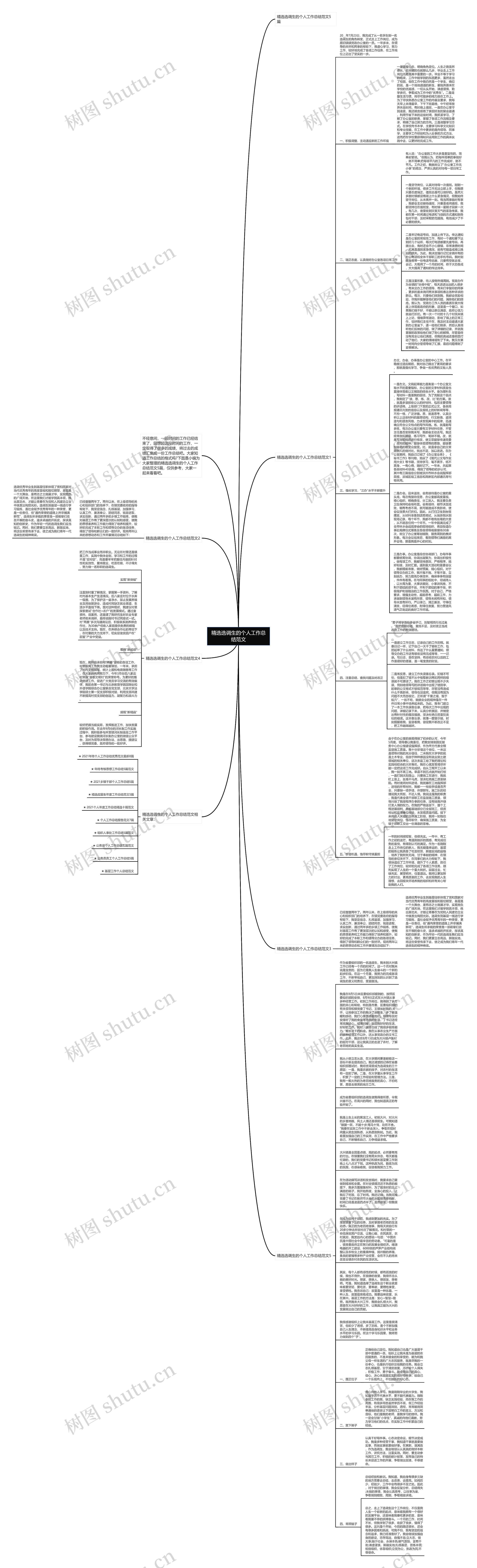 精选选调生的个人工作总结范文思维导图