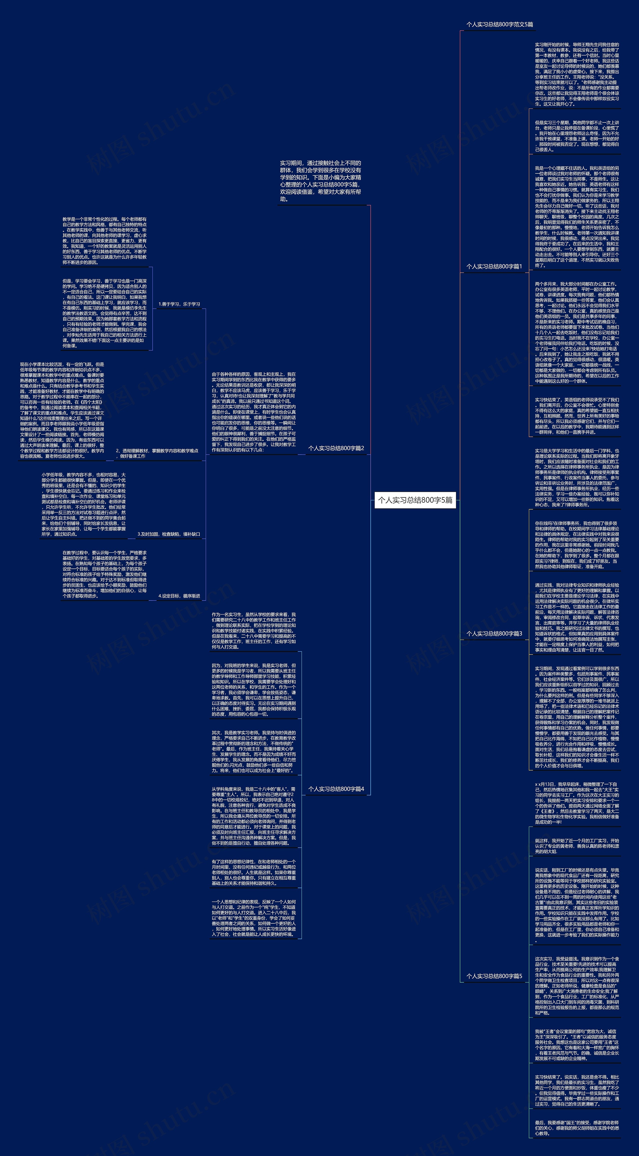 个人实习总结800字5篇思维导图
